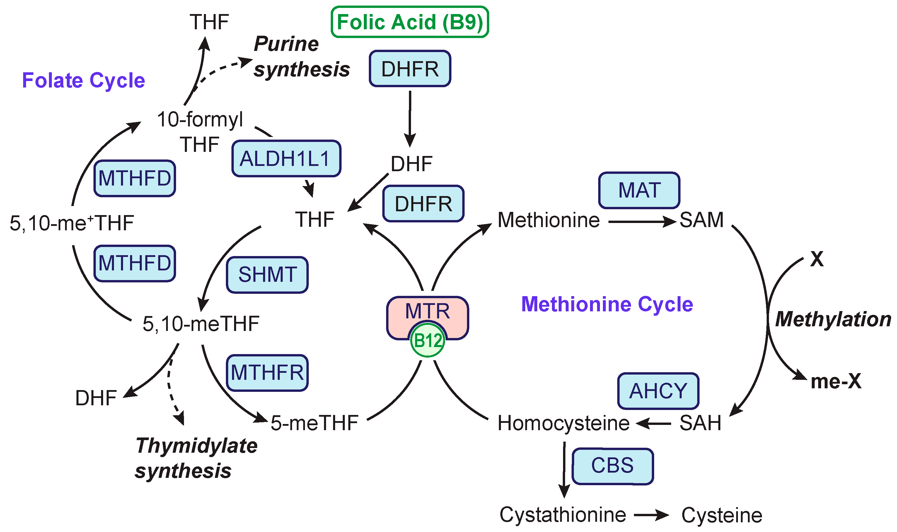 Metabolites 13 00486 g001
