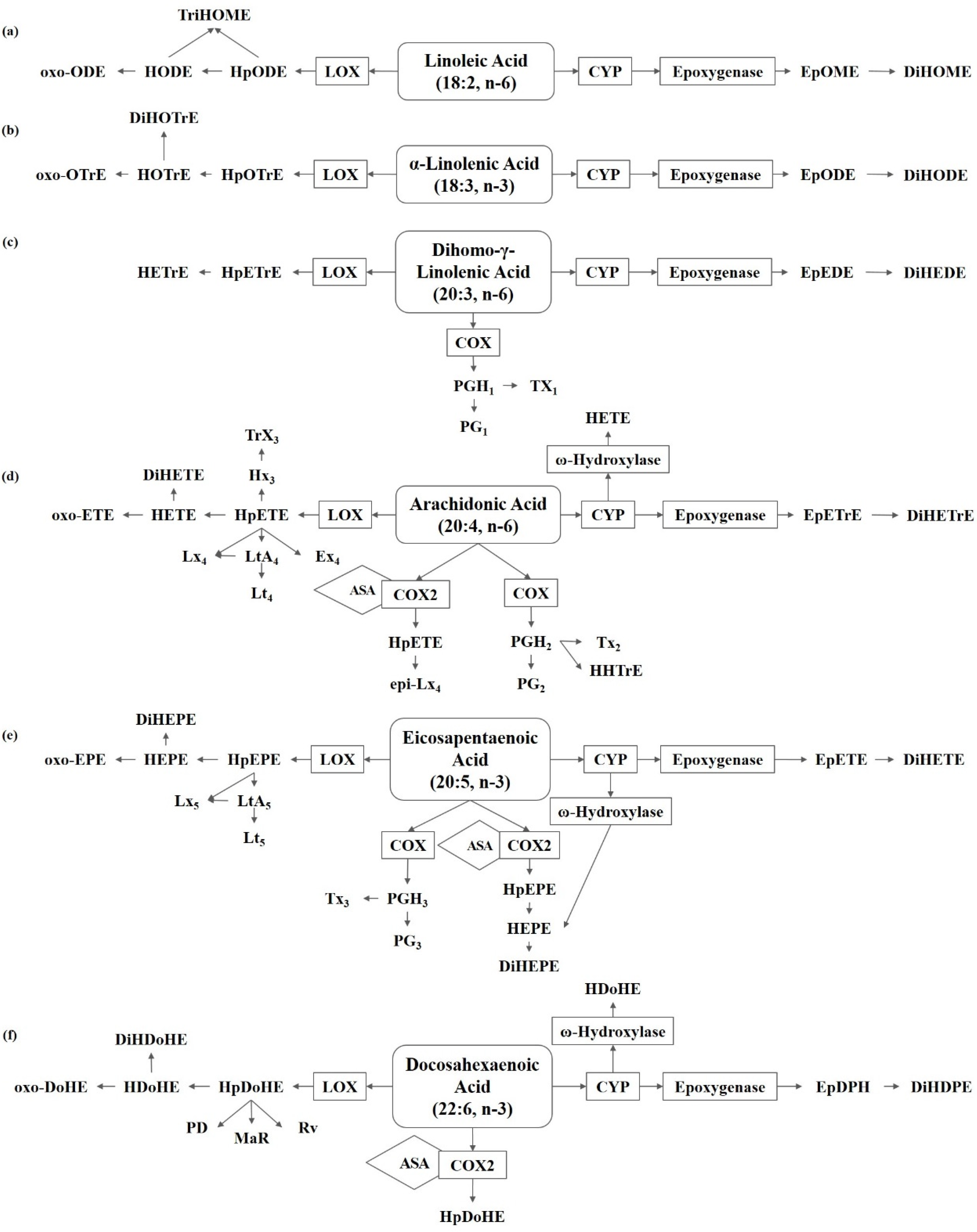 Metabolites 13 00491 g001