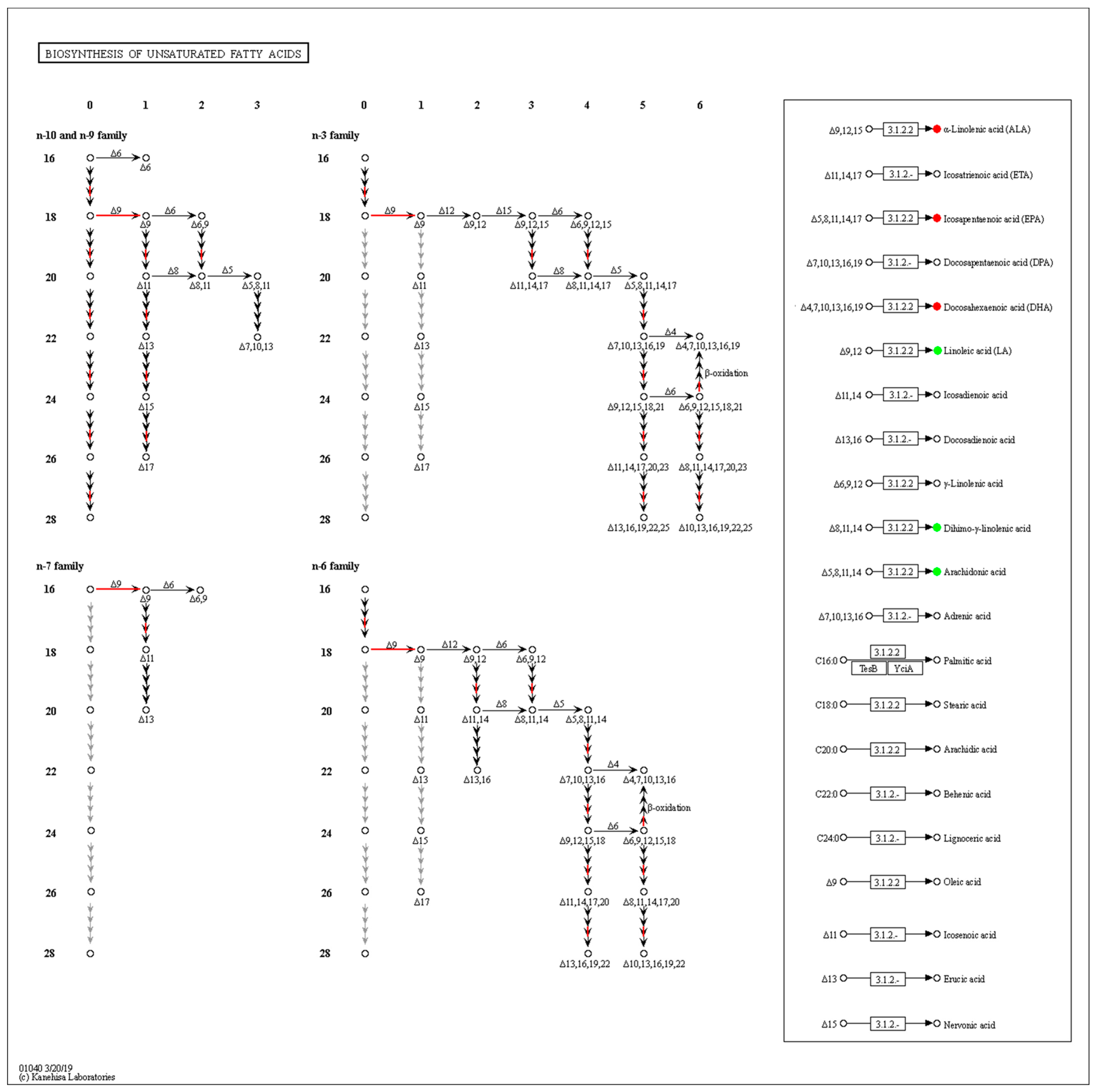 Metabolites 13 00491 g006