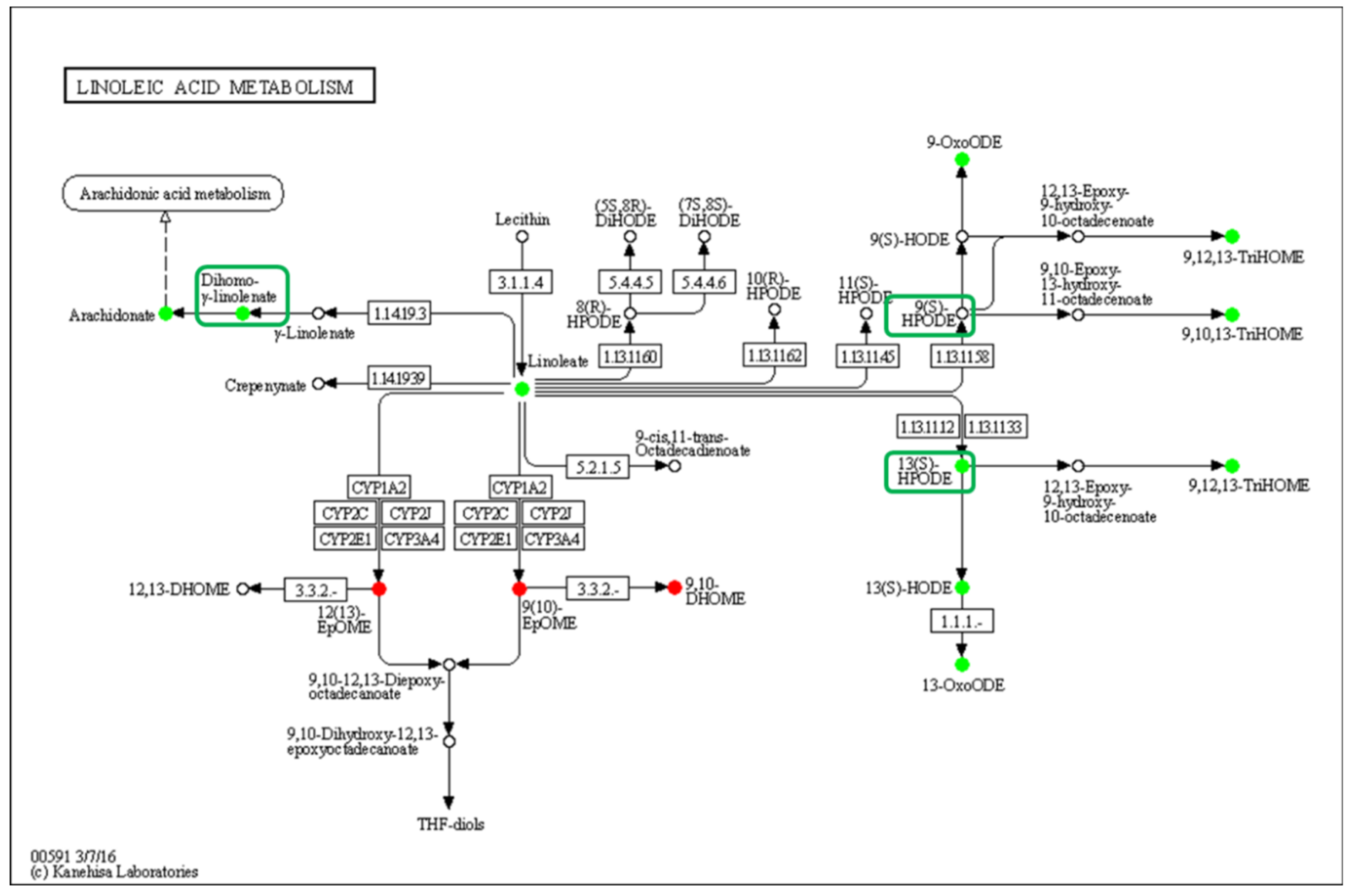 Metabolites 13 00491 g007