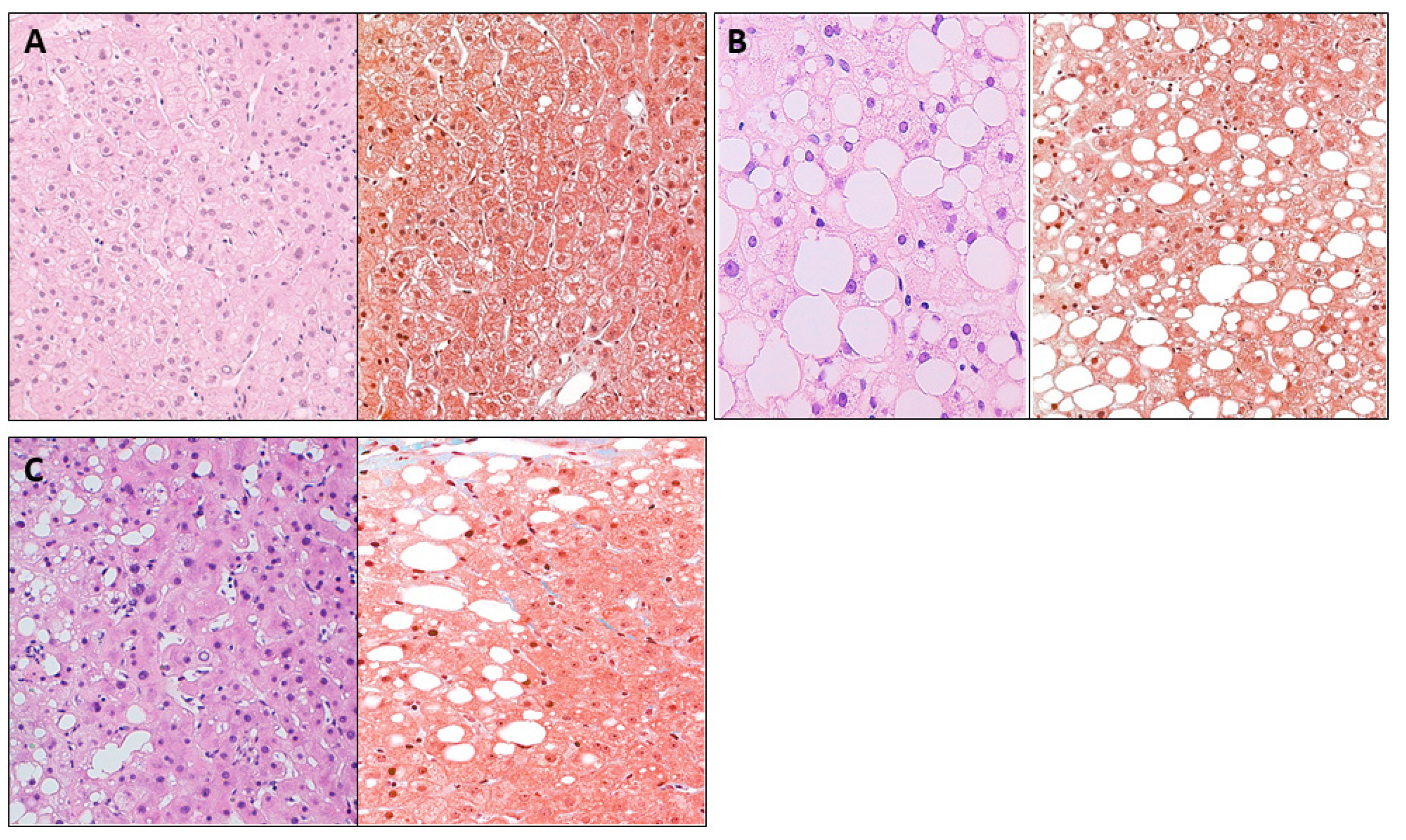 Metabolites 13 00496 g001