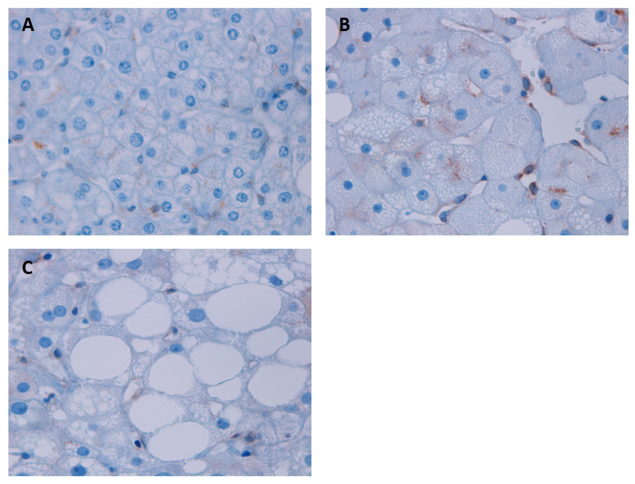 Metabolites 13 00496 g005