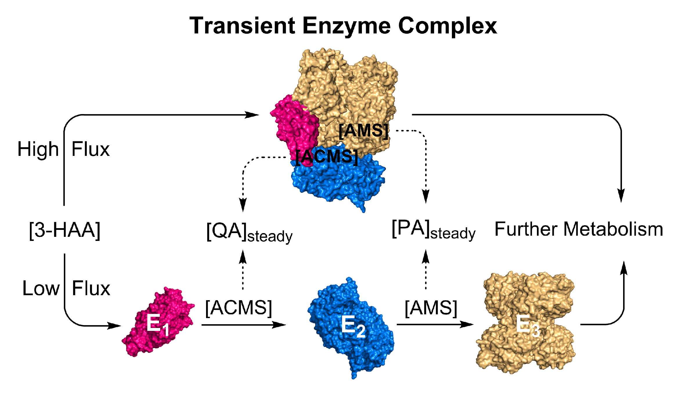 Metabolites 13 00500 g005