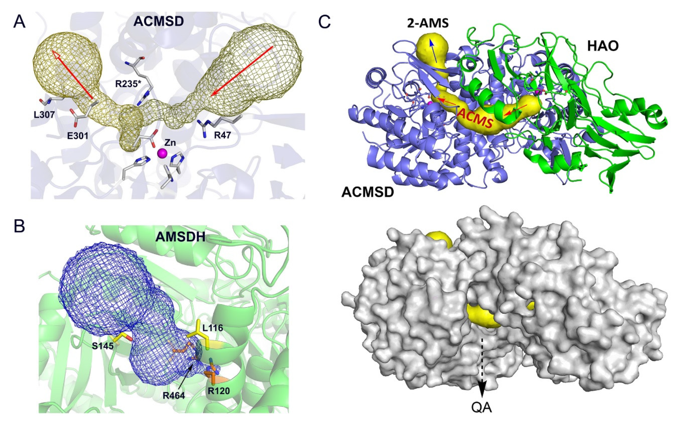 Metabolites 13 00500 g006