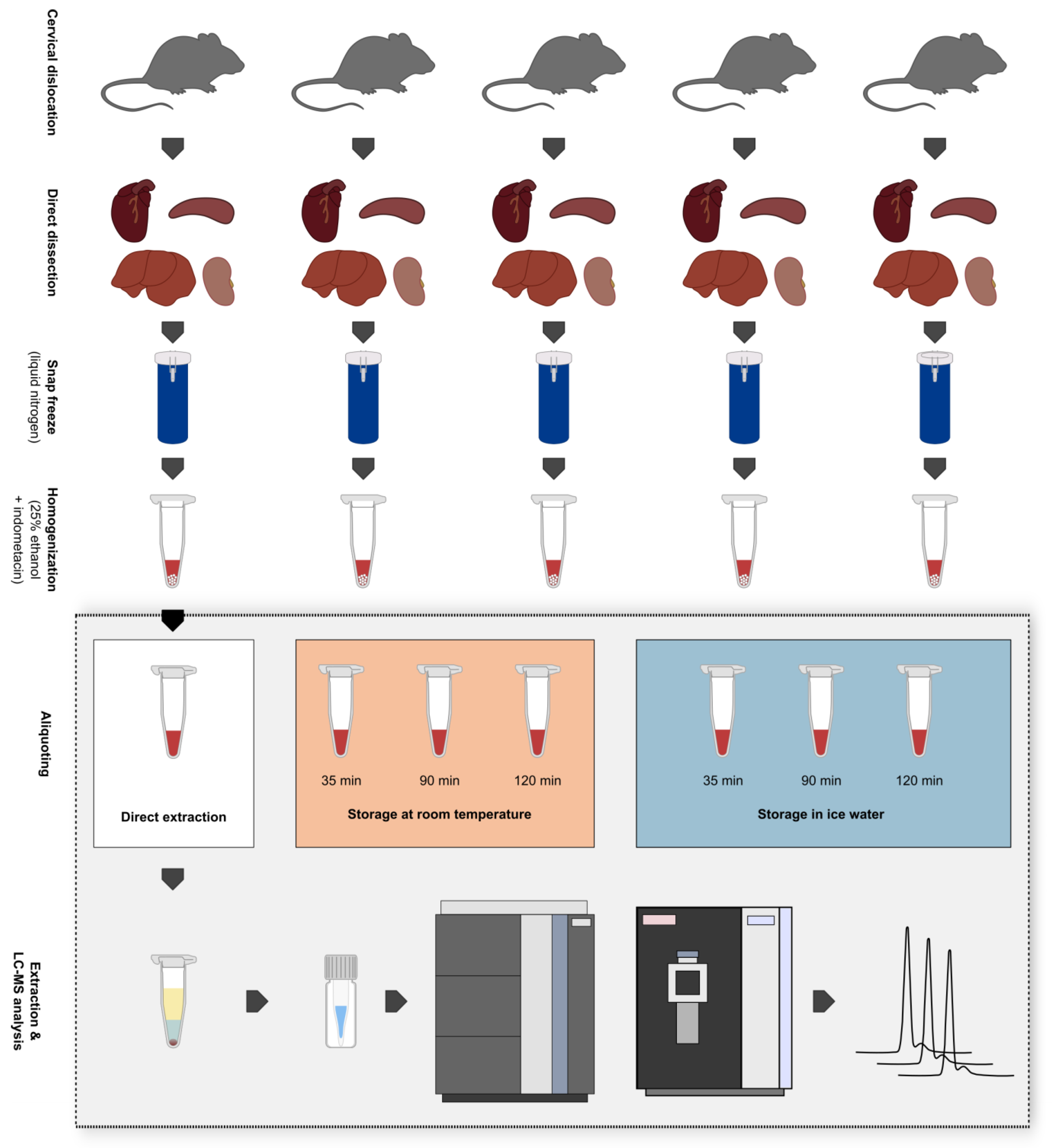Metabolites 13 00504 g001