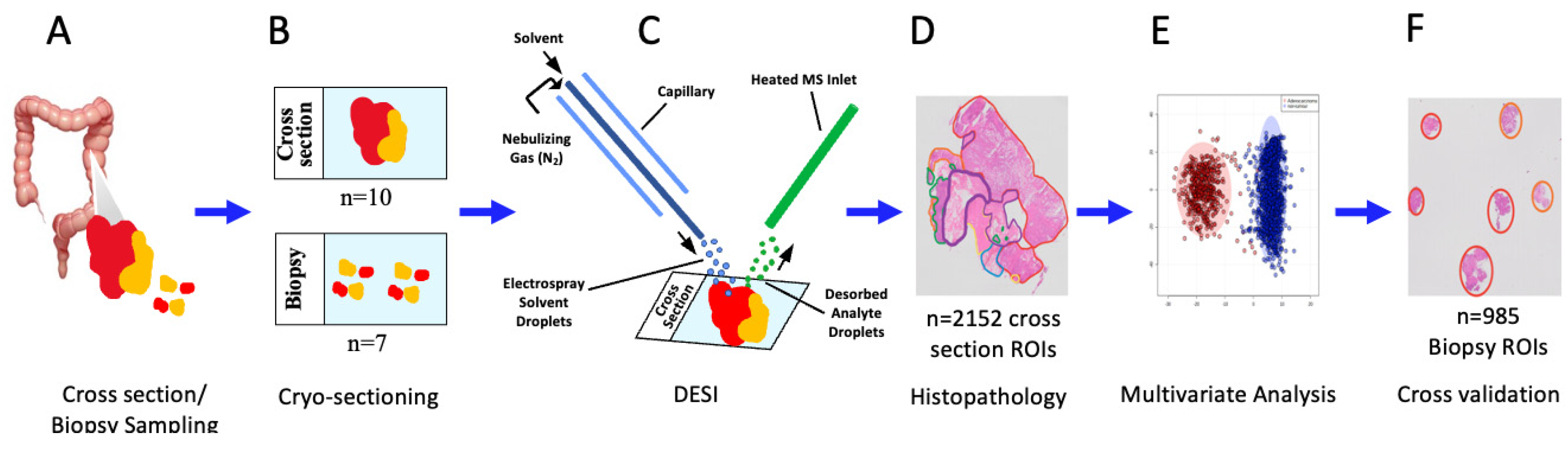 Metabolites 13 00508 g001