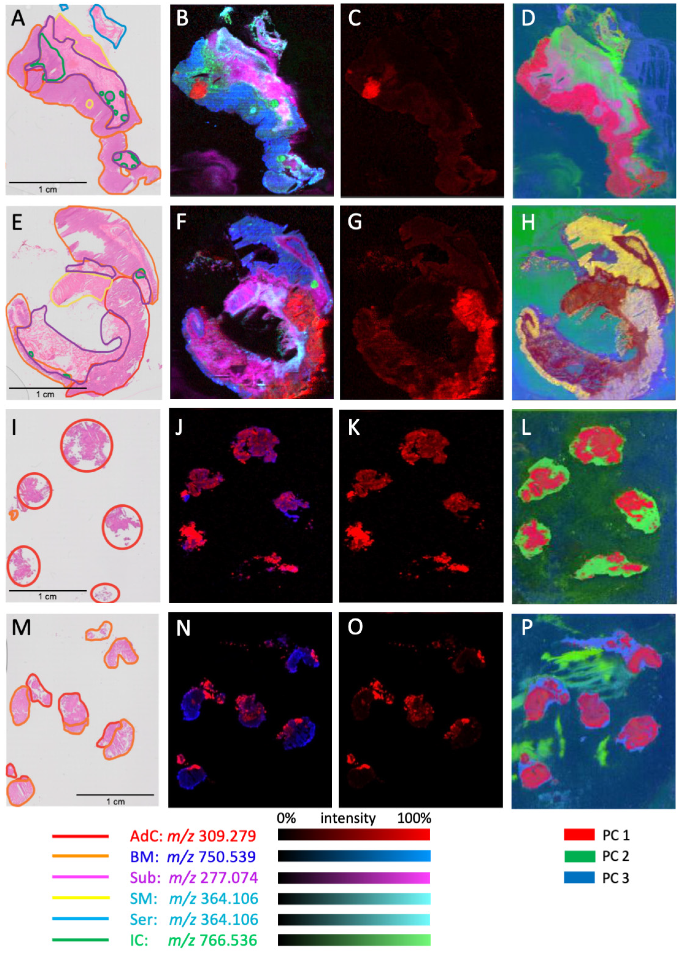 Metabolites 13 00508 g003
