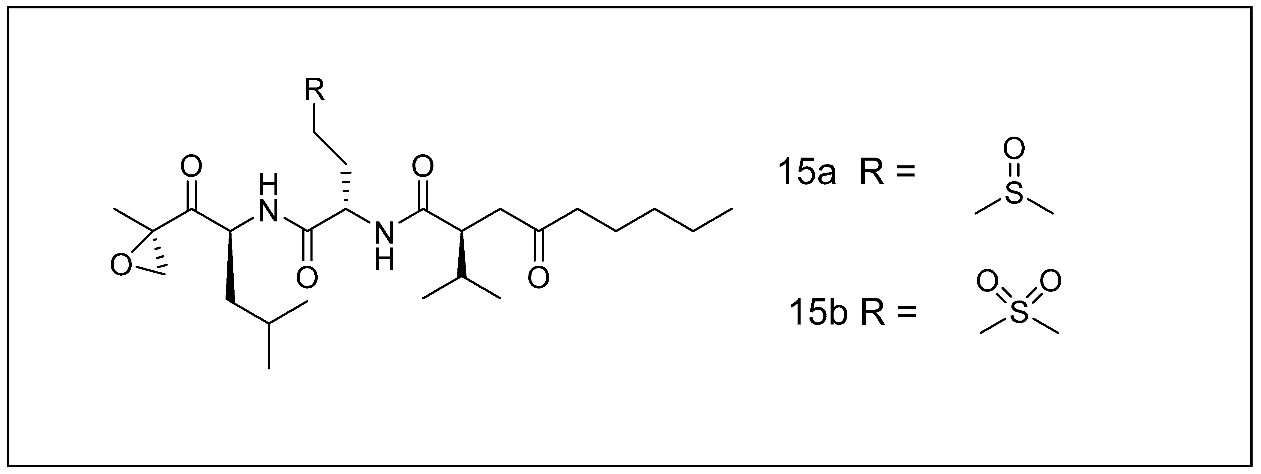 Metabolites 13 00509 g004