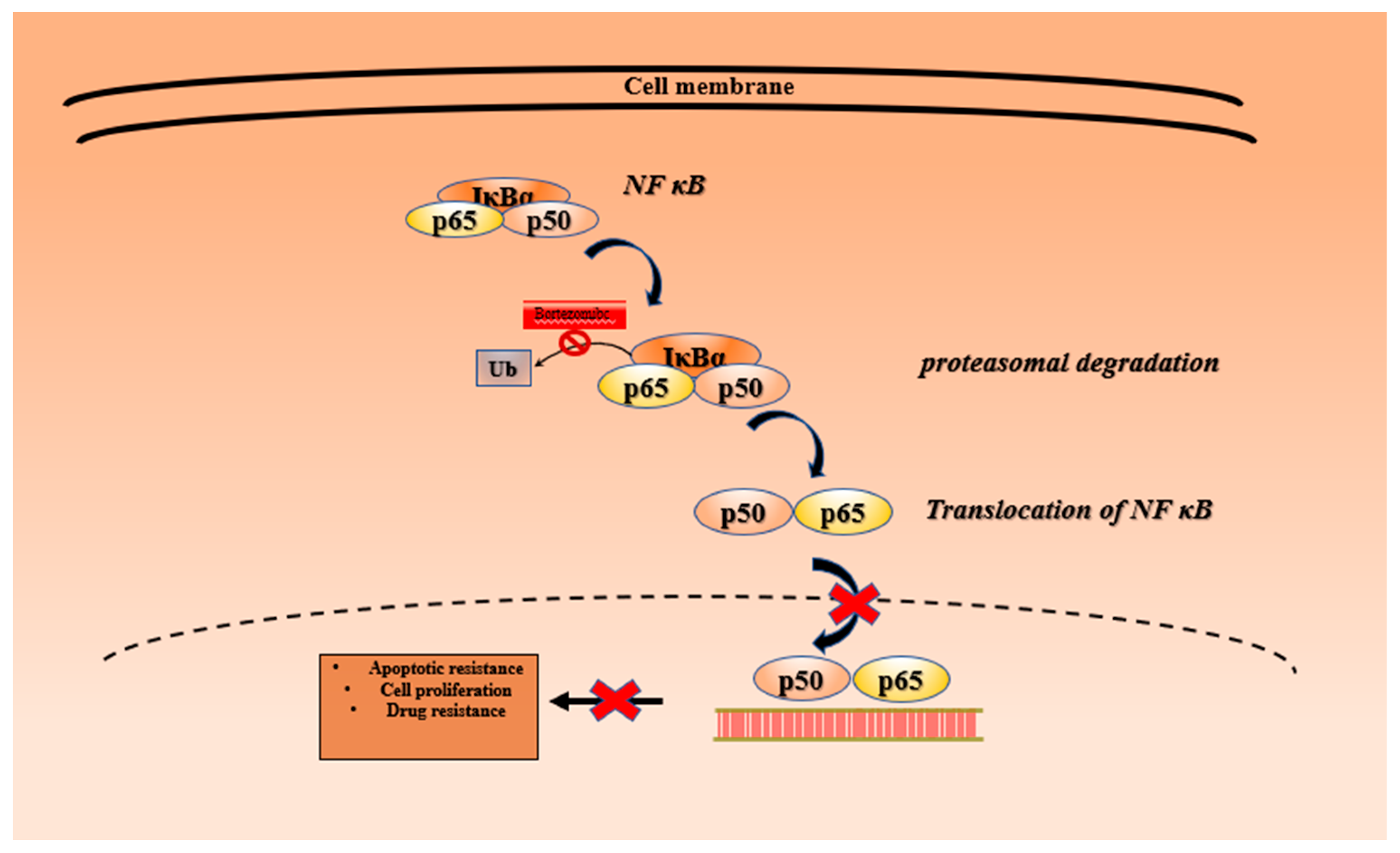 Metabolites 13 00509 g013
