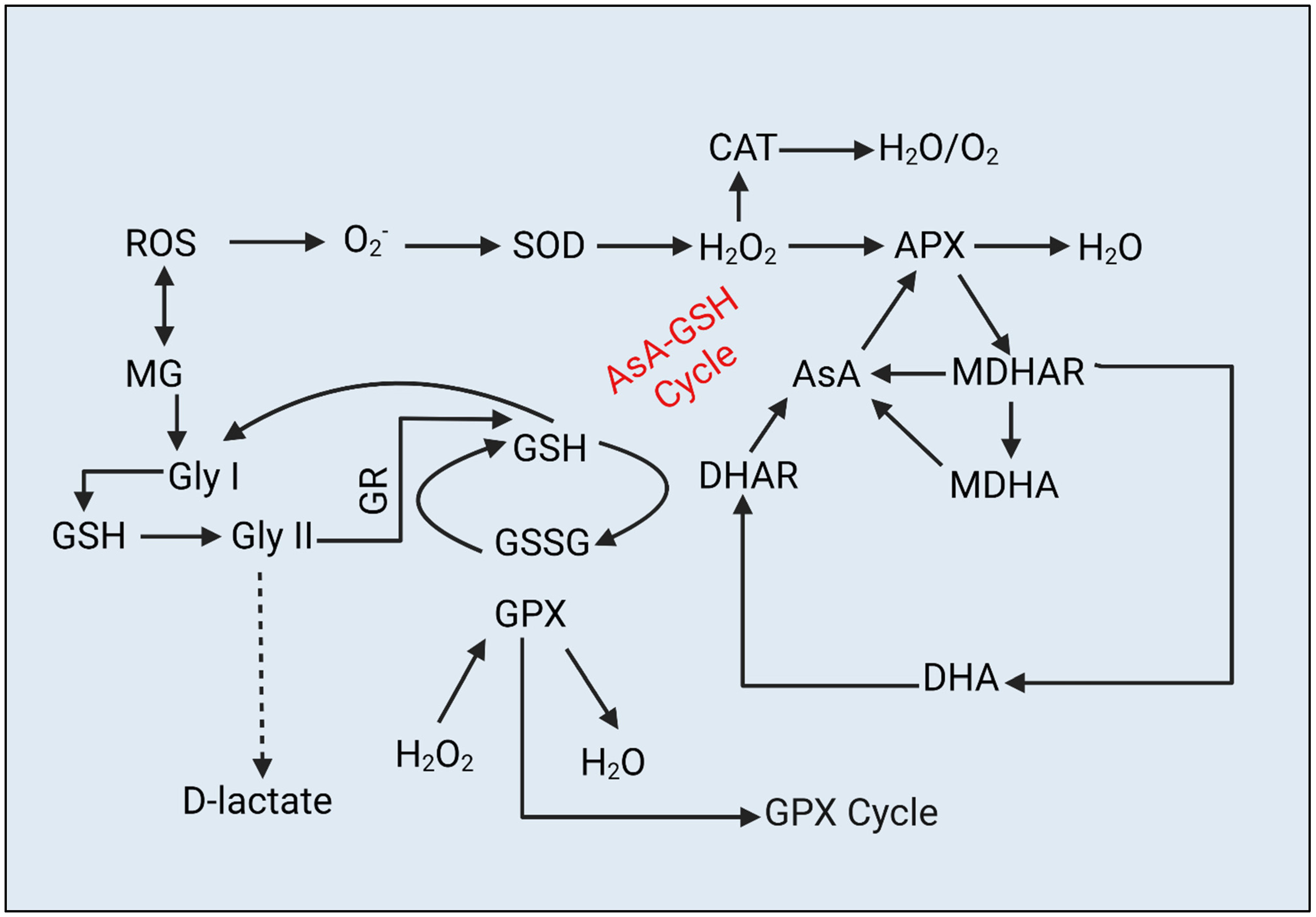 Metabolites 13 00511 g007