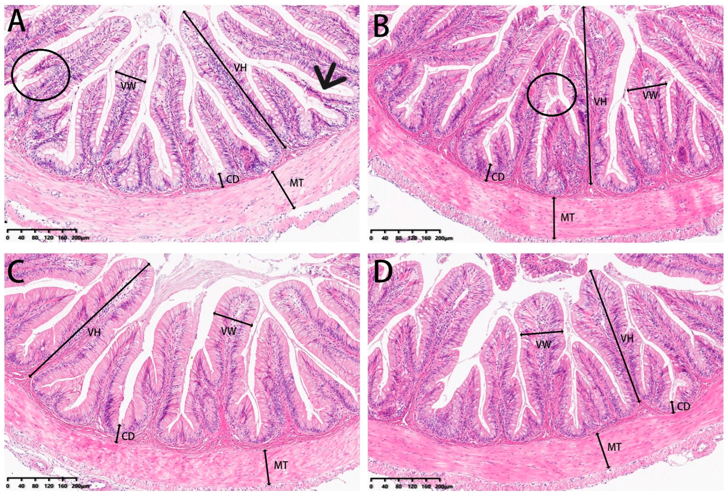 Metabolites 13 00512 g013