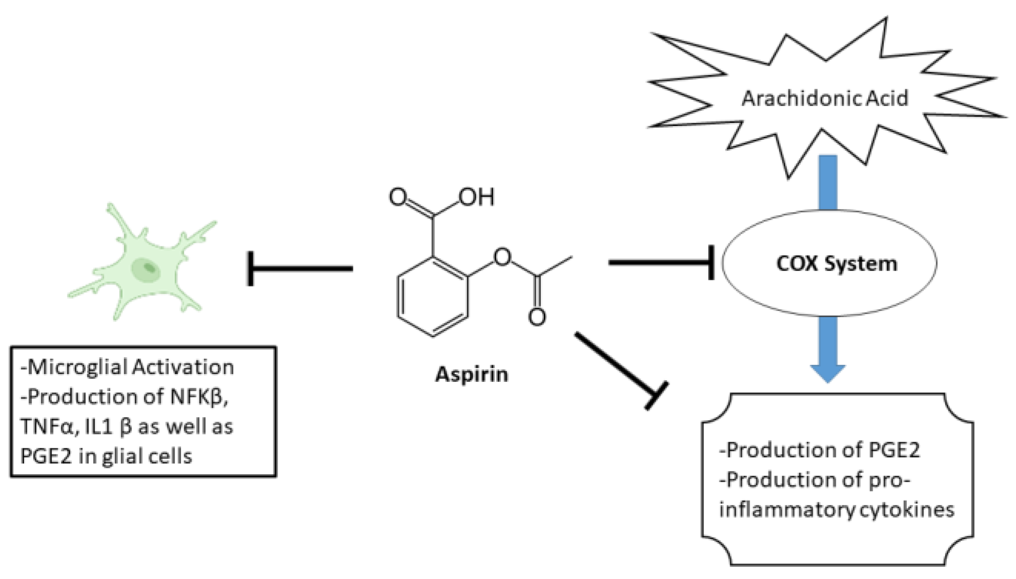 Metabolites 13 00515 g001 Metabolites 13 00515 g001