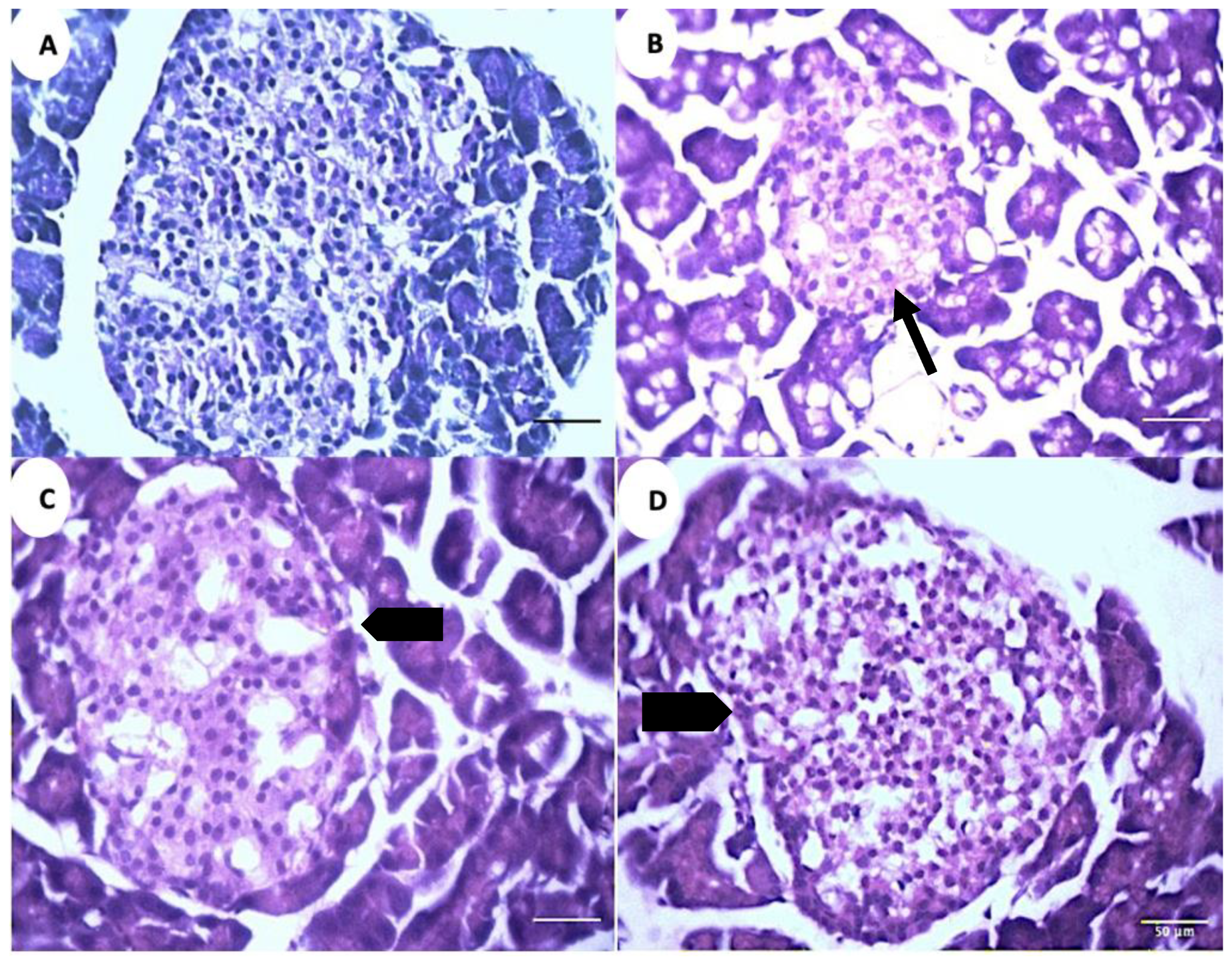 Metabolites 13 00516 g008 Metabolites 13 00516 g008