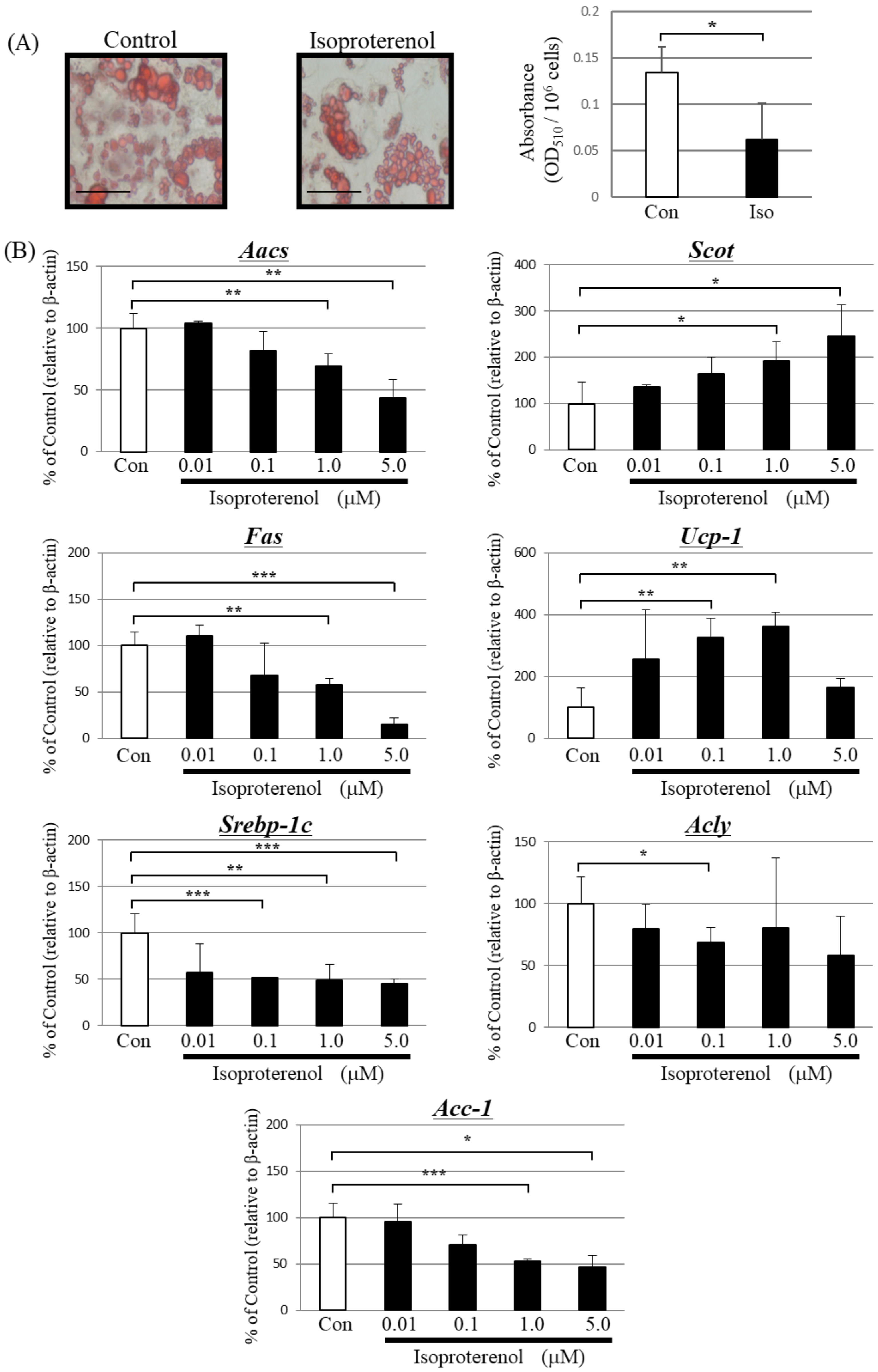 Metabolites 13 00519 g002 Metabolites 13 00519 g002
