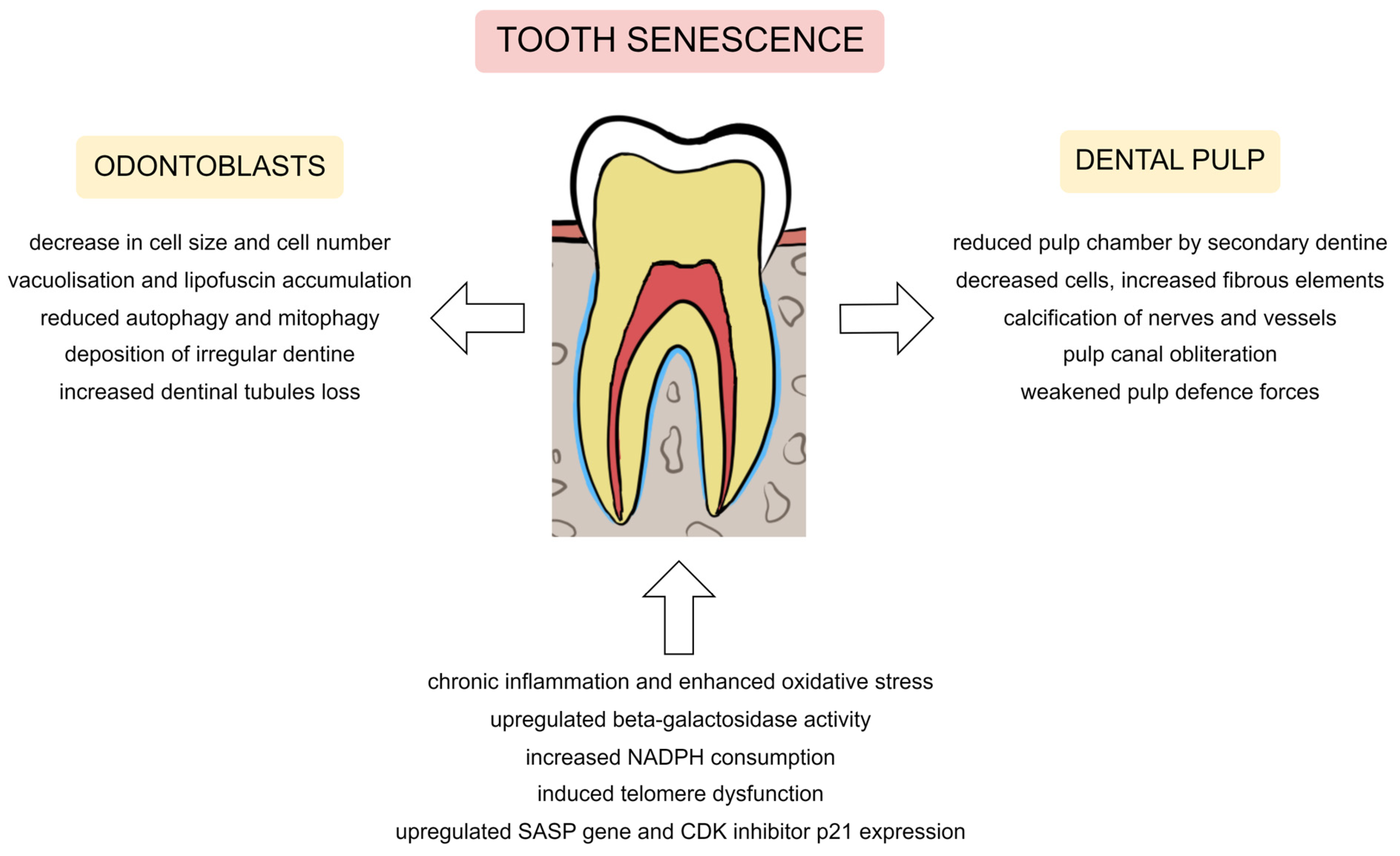 Metabolites 13 00520 g002 Metabolites 13 00520 g002