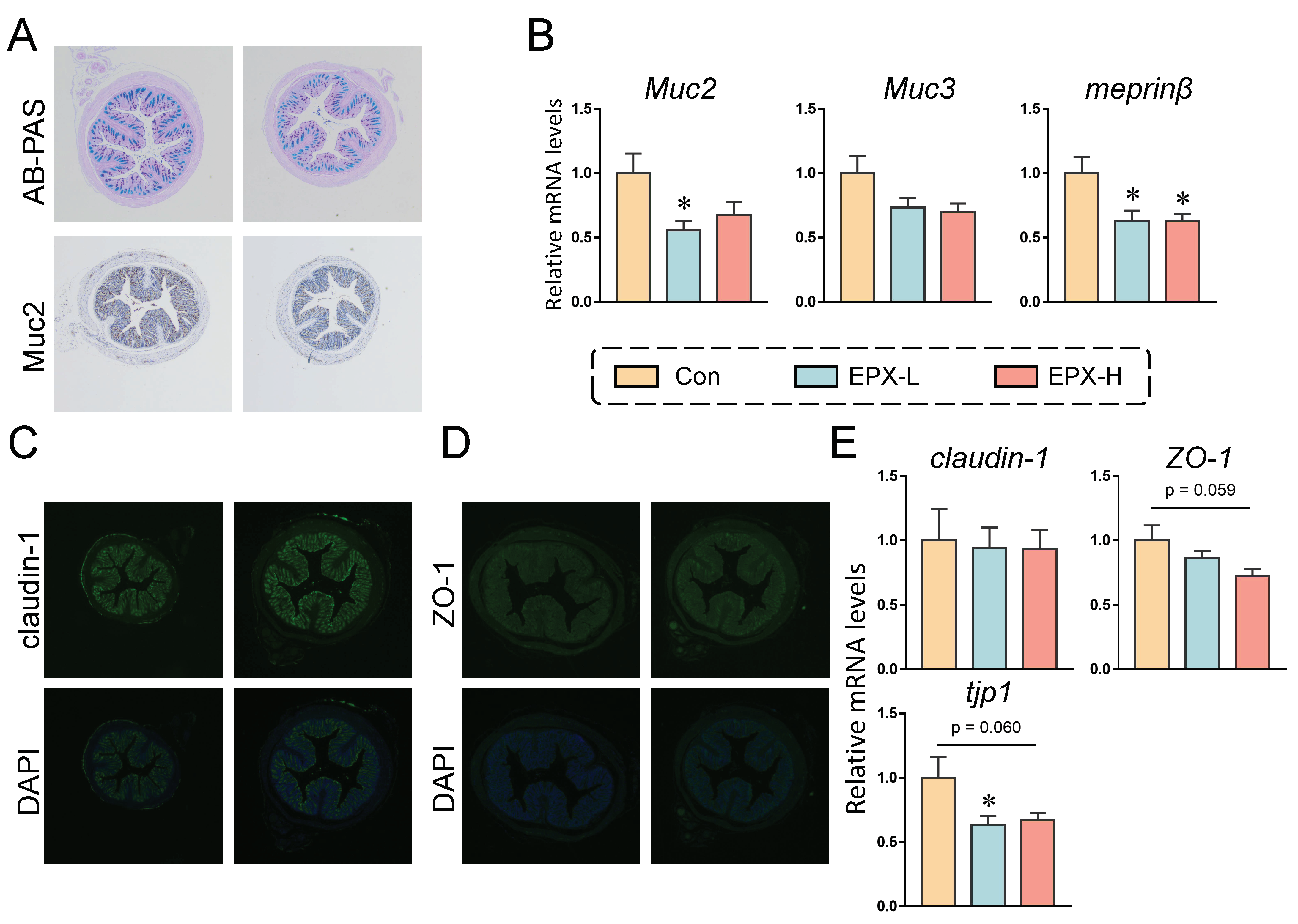 Metabolites 13 00522 g002