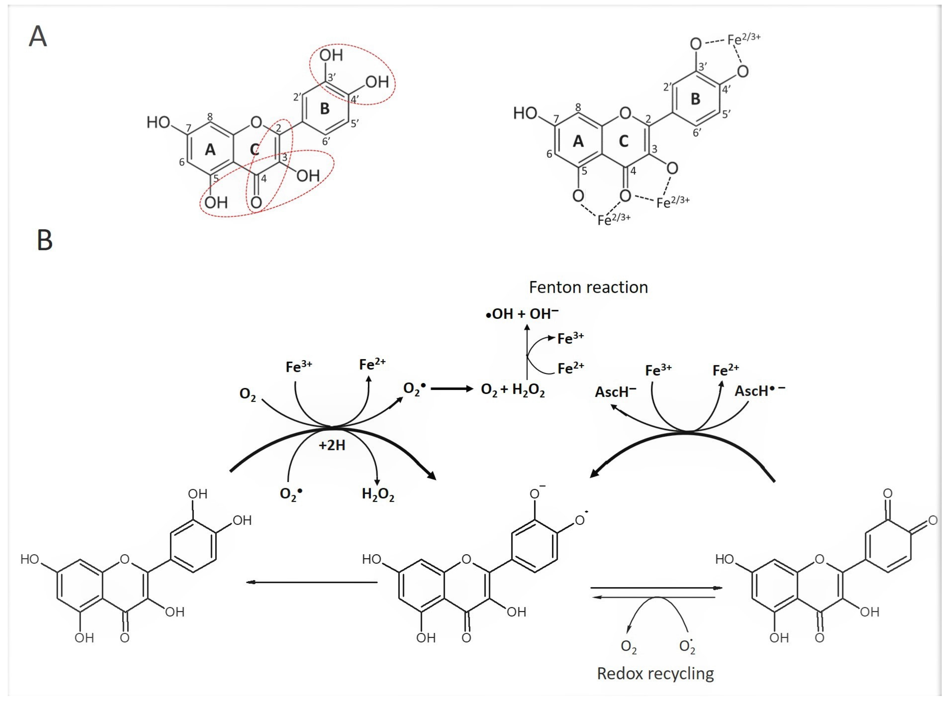 Metabolites 13 00526 g002