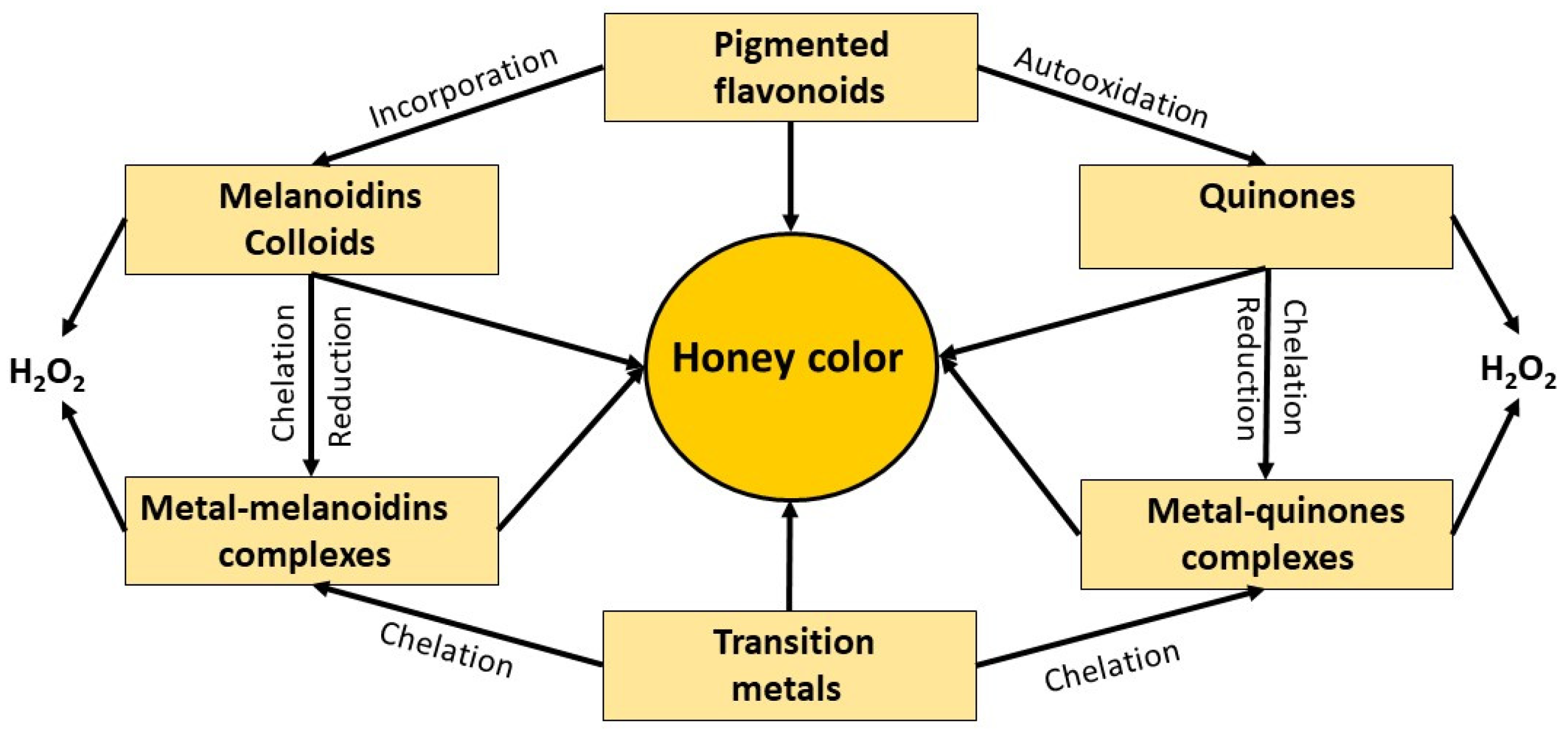Metabolites 13 00526 g005