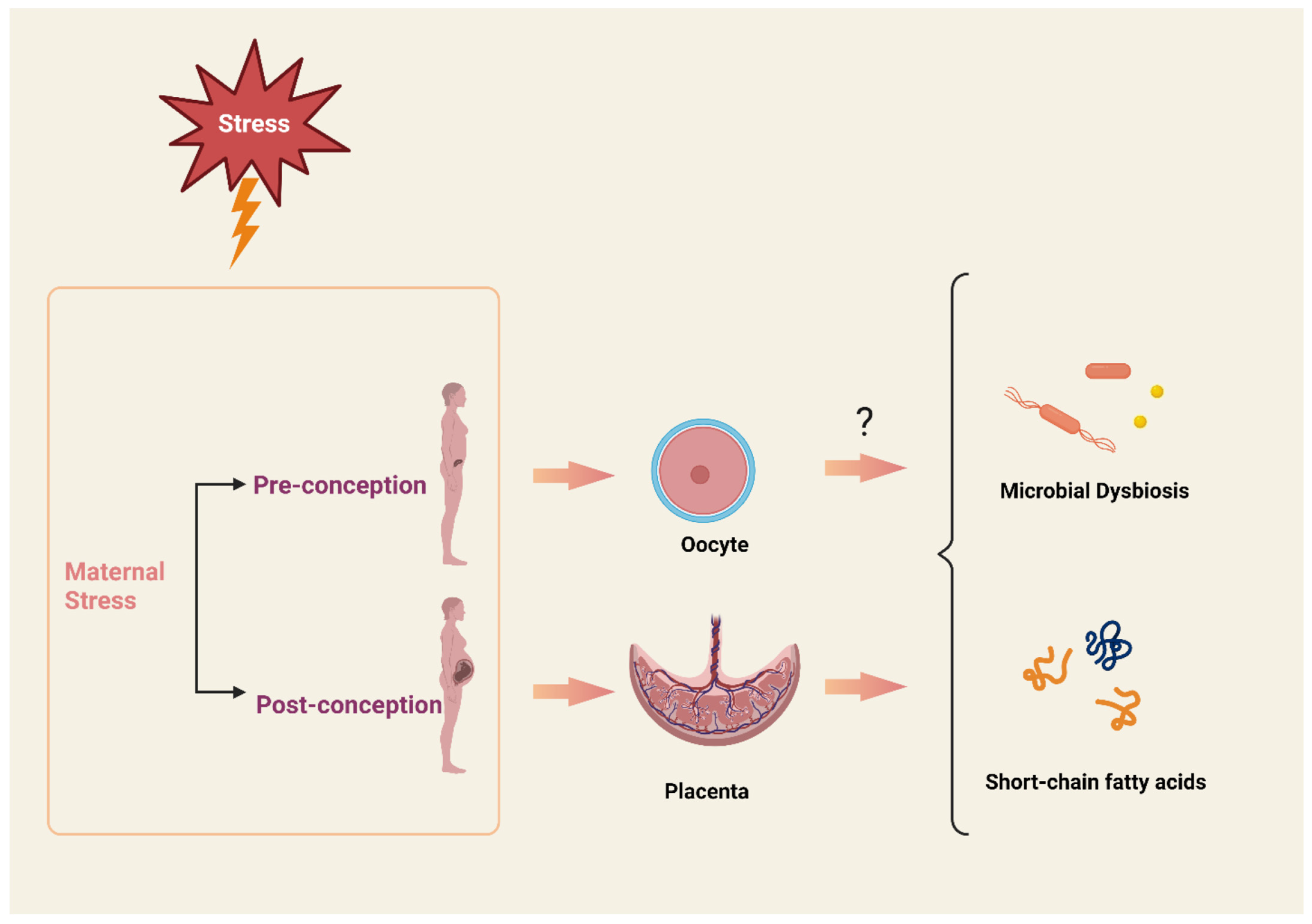 Metabolites 13 00535 g001 Metabolites 13 00535 g001