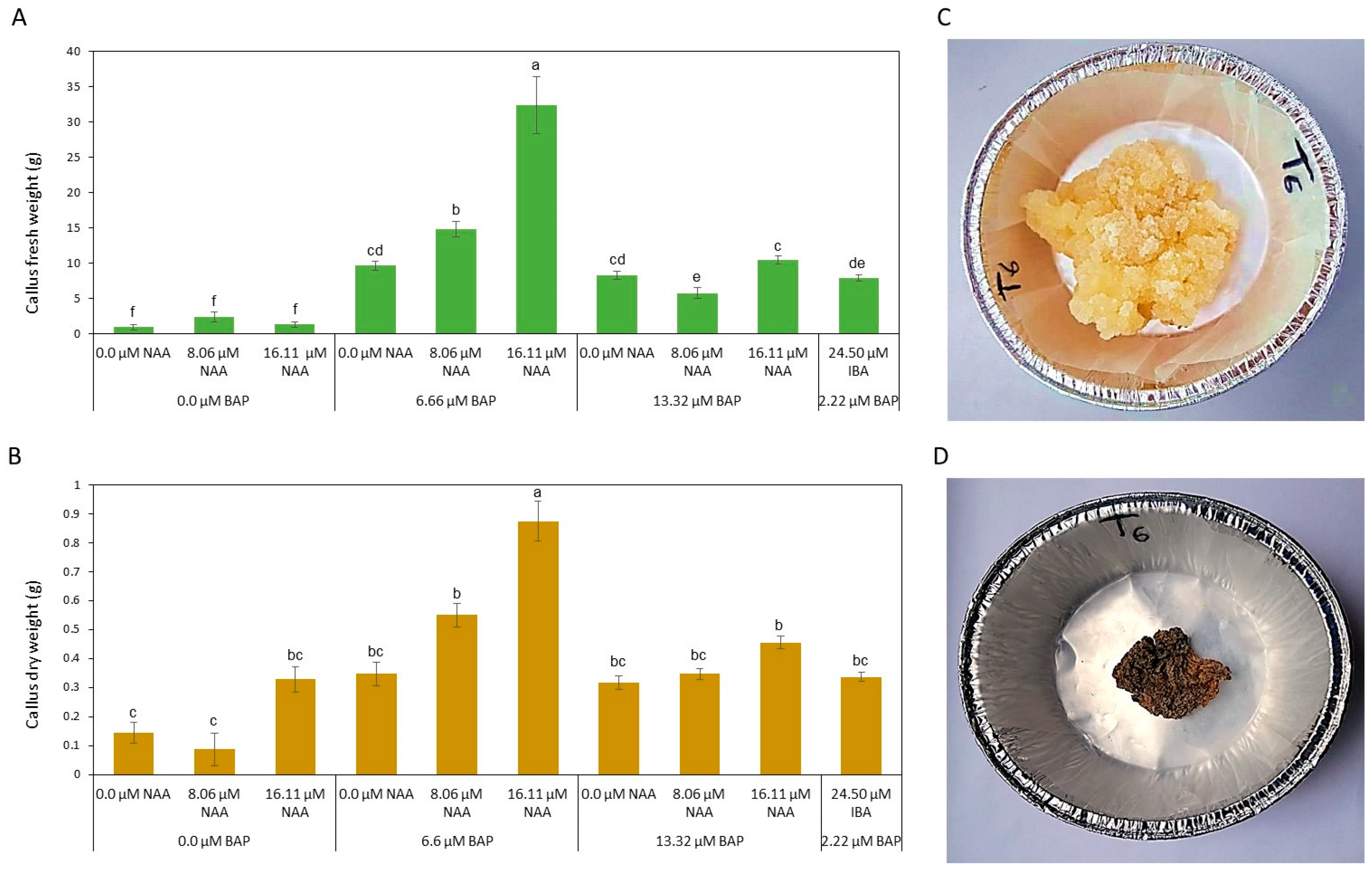Metabolites 13 00537 g002 Metabolites 13 00537 g002