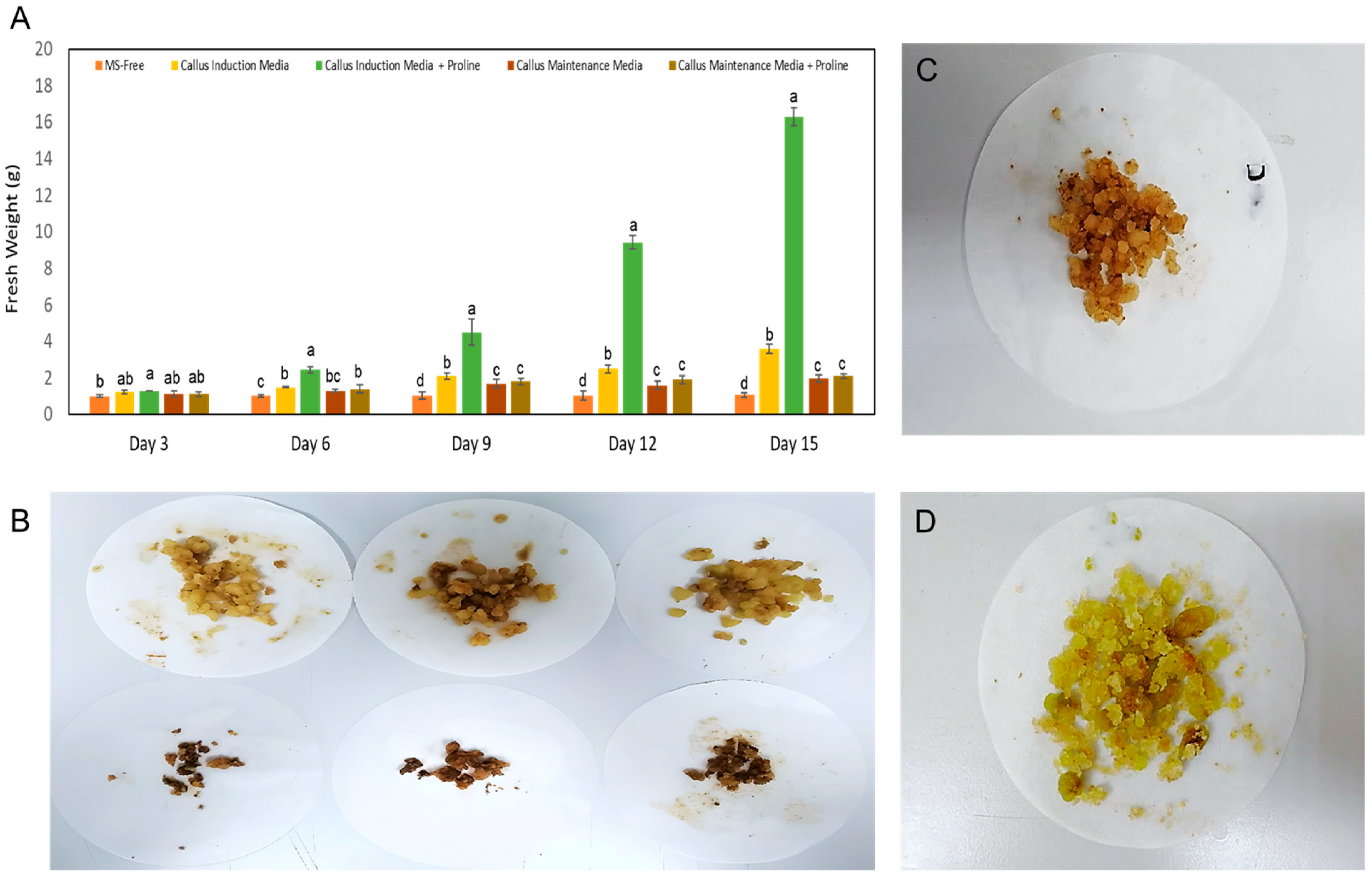 Metabolites 13 00537 g003 Metabolites 13 00537 g003
