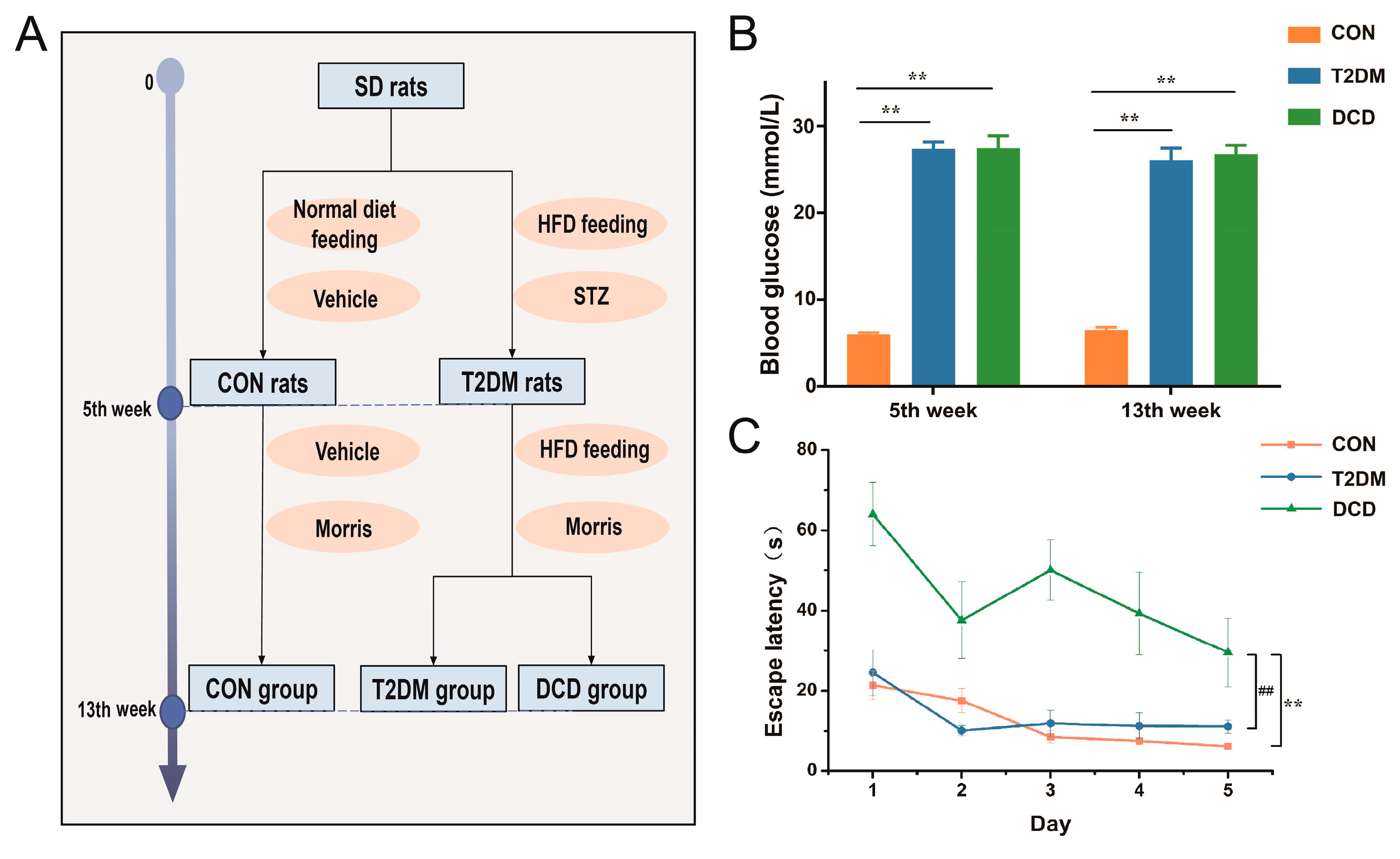 Metabolites 13 00538 g002