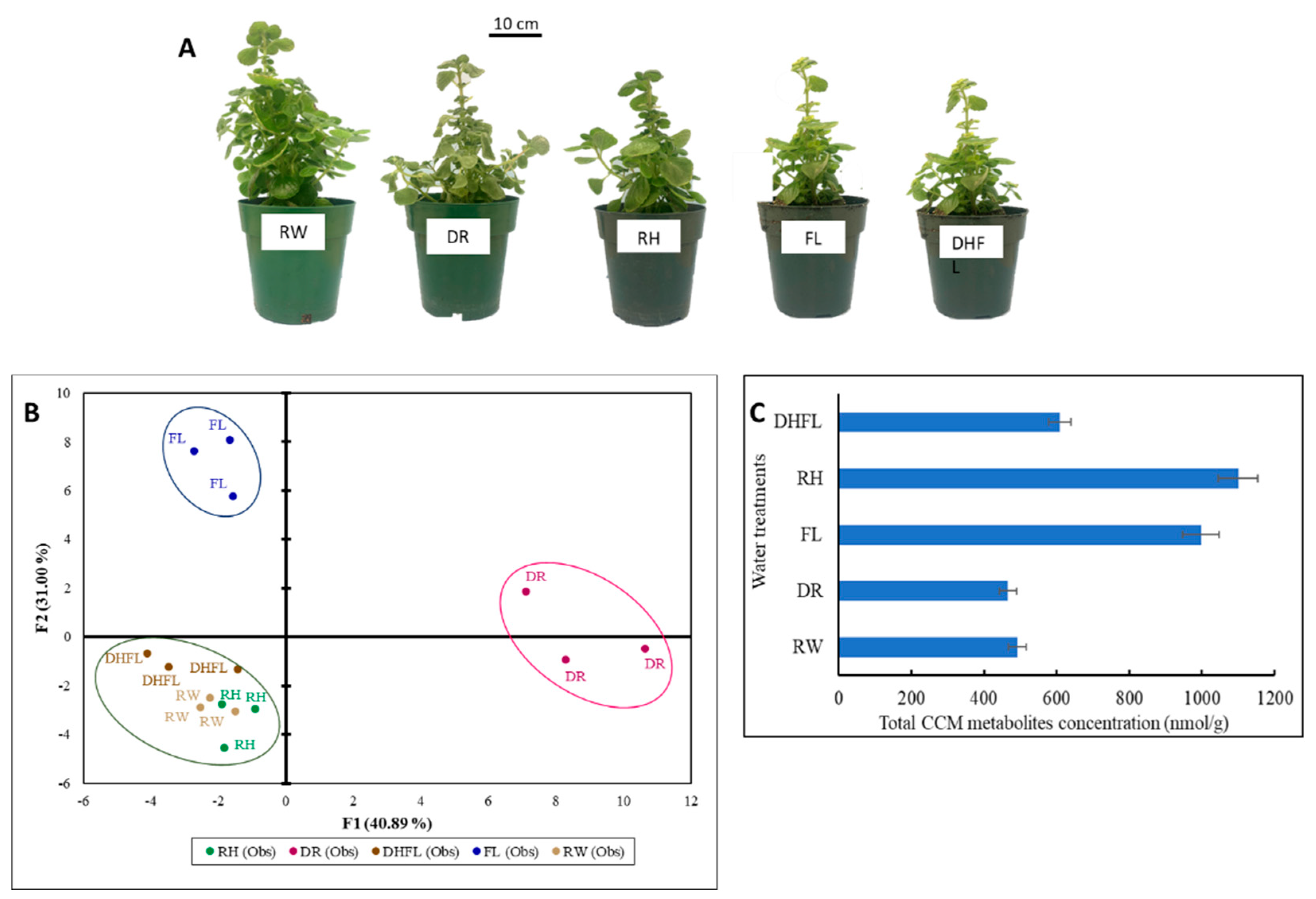 Metabolites 13 00539 g001