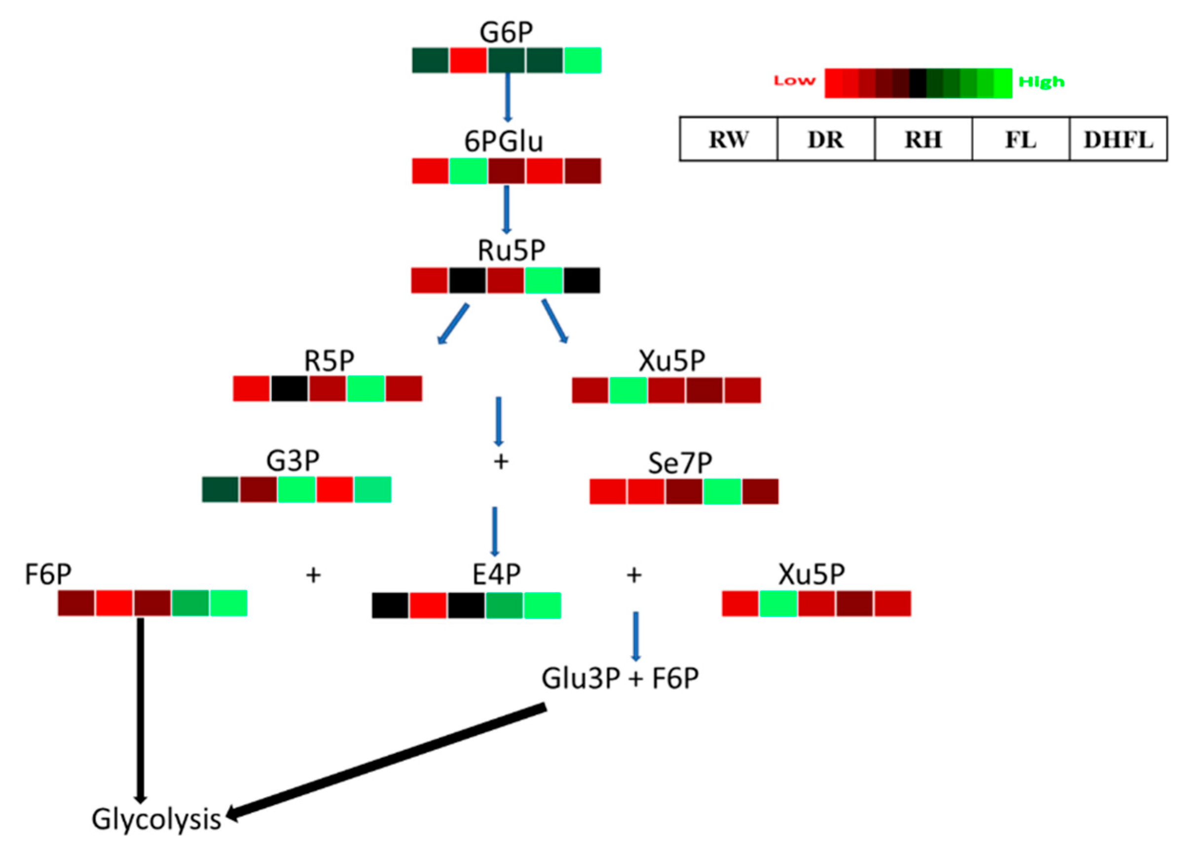 Metabolites 13 00539 g004