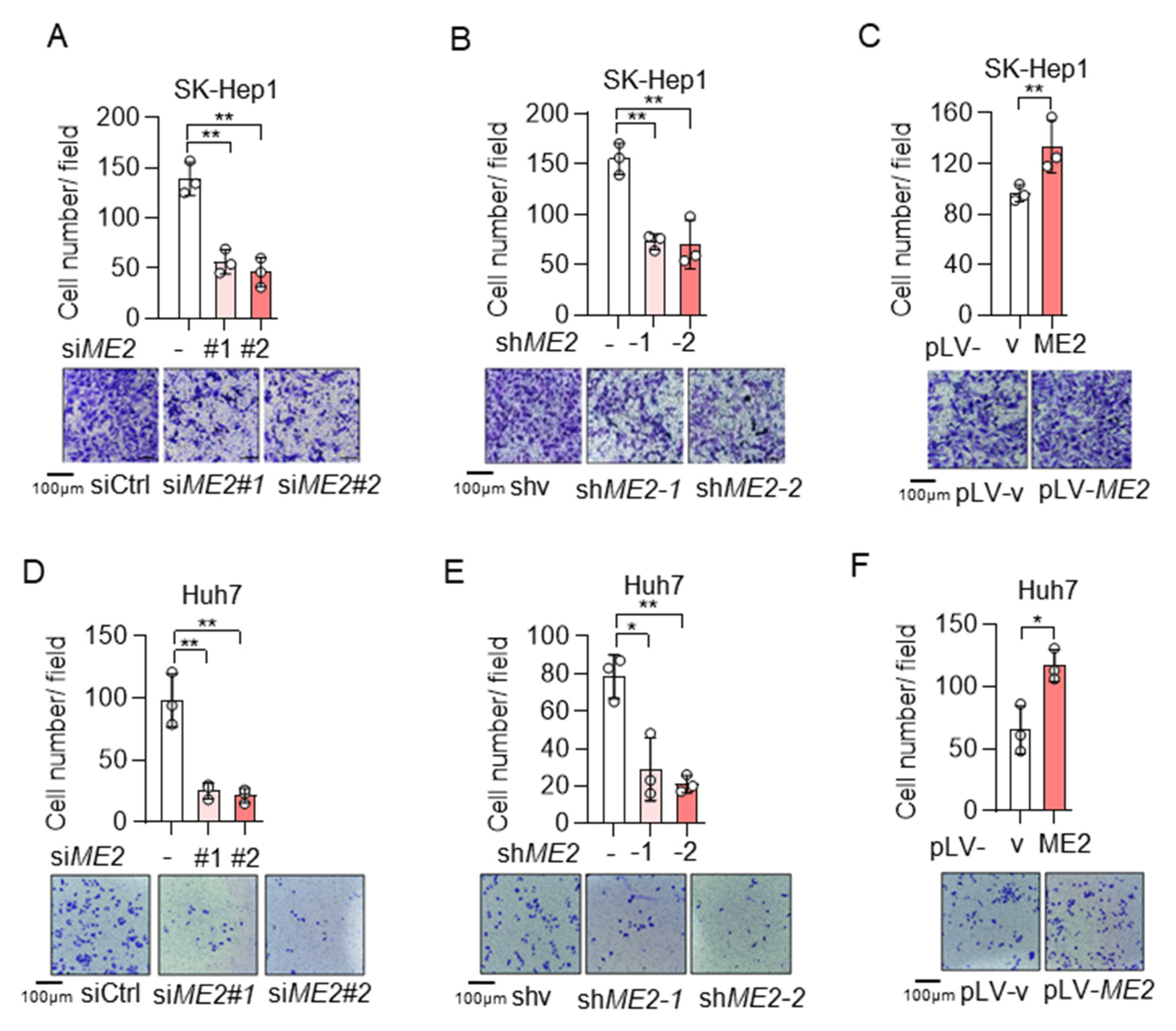 Metabolites 13 00540 g002