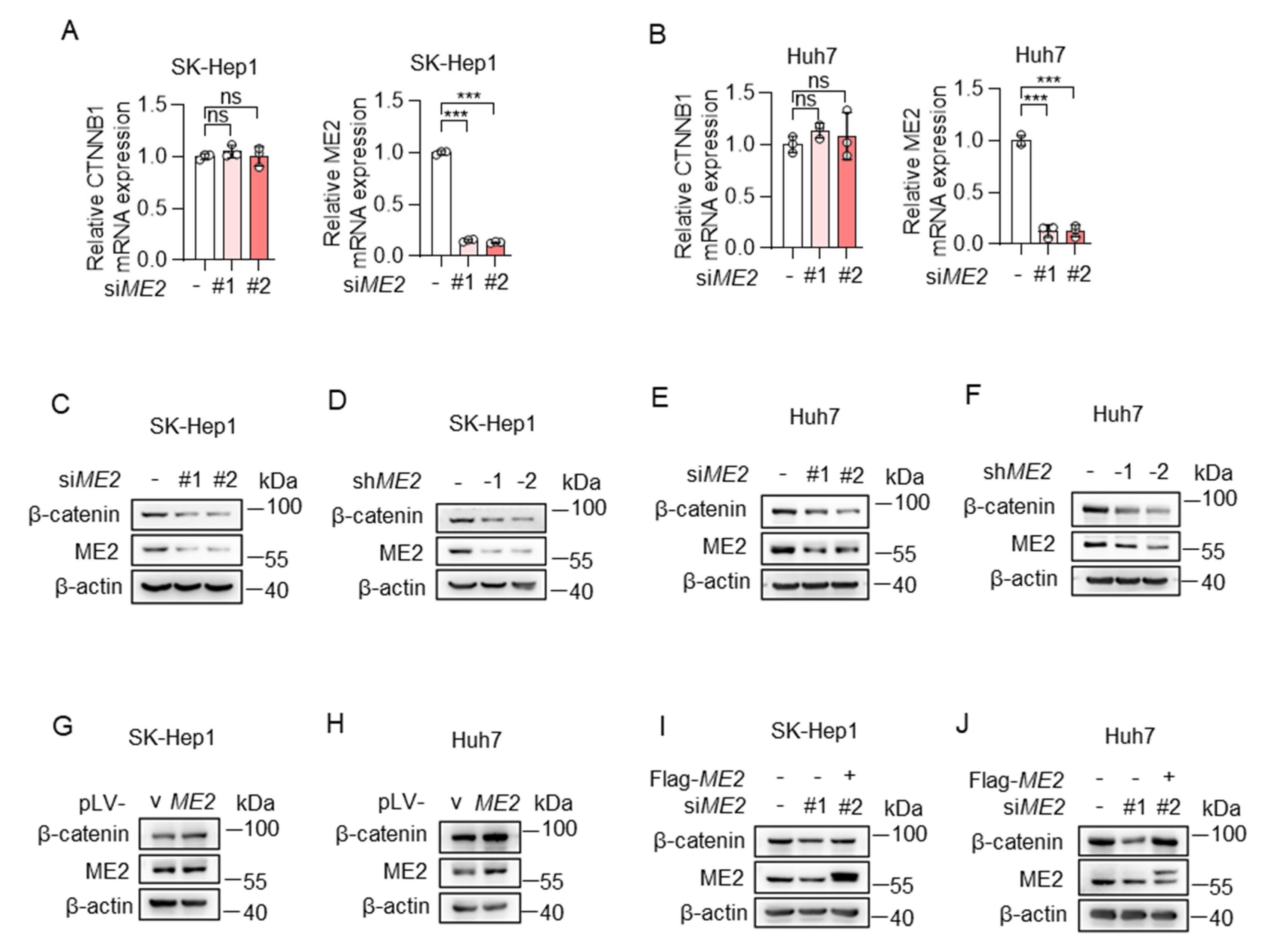 Metabolites 13 00540 g004