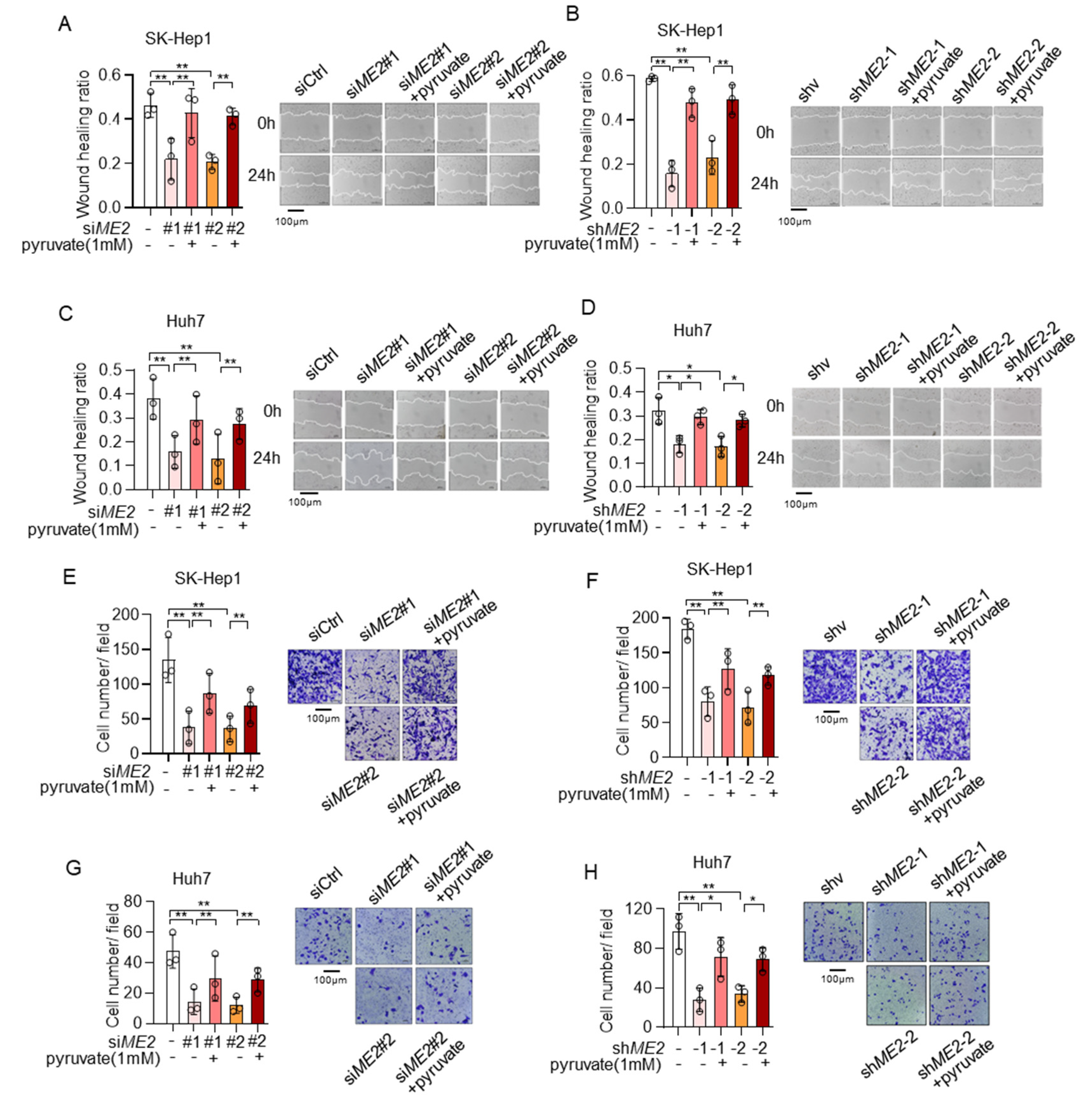 Metabolites 13 00540 g008