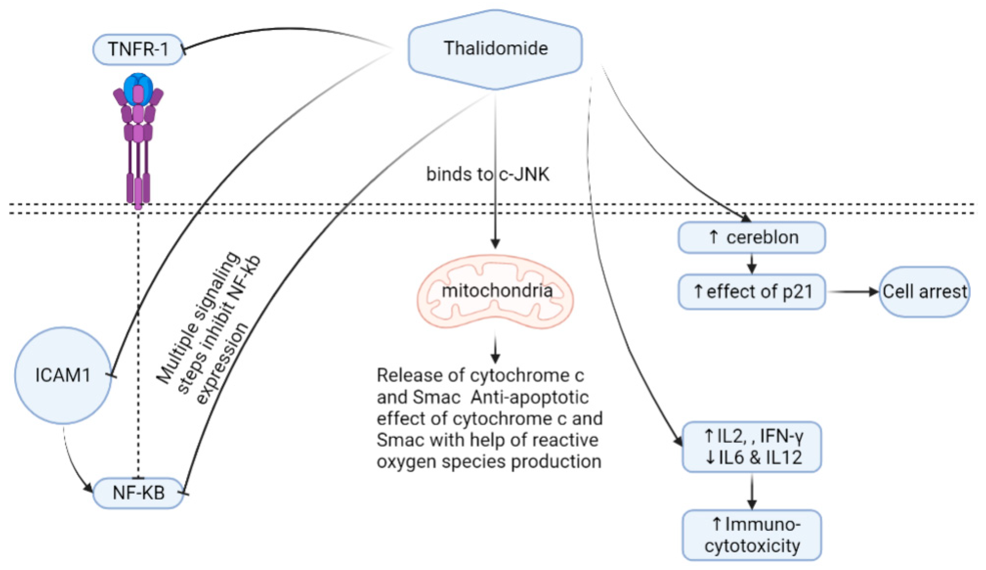Metabolites 13 00543 g001