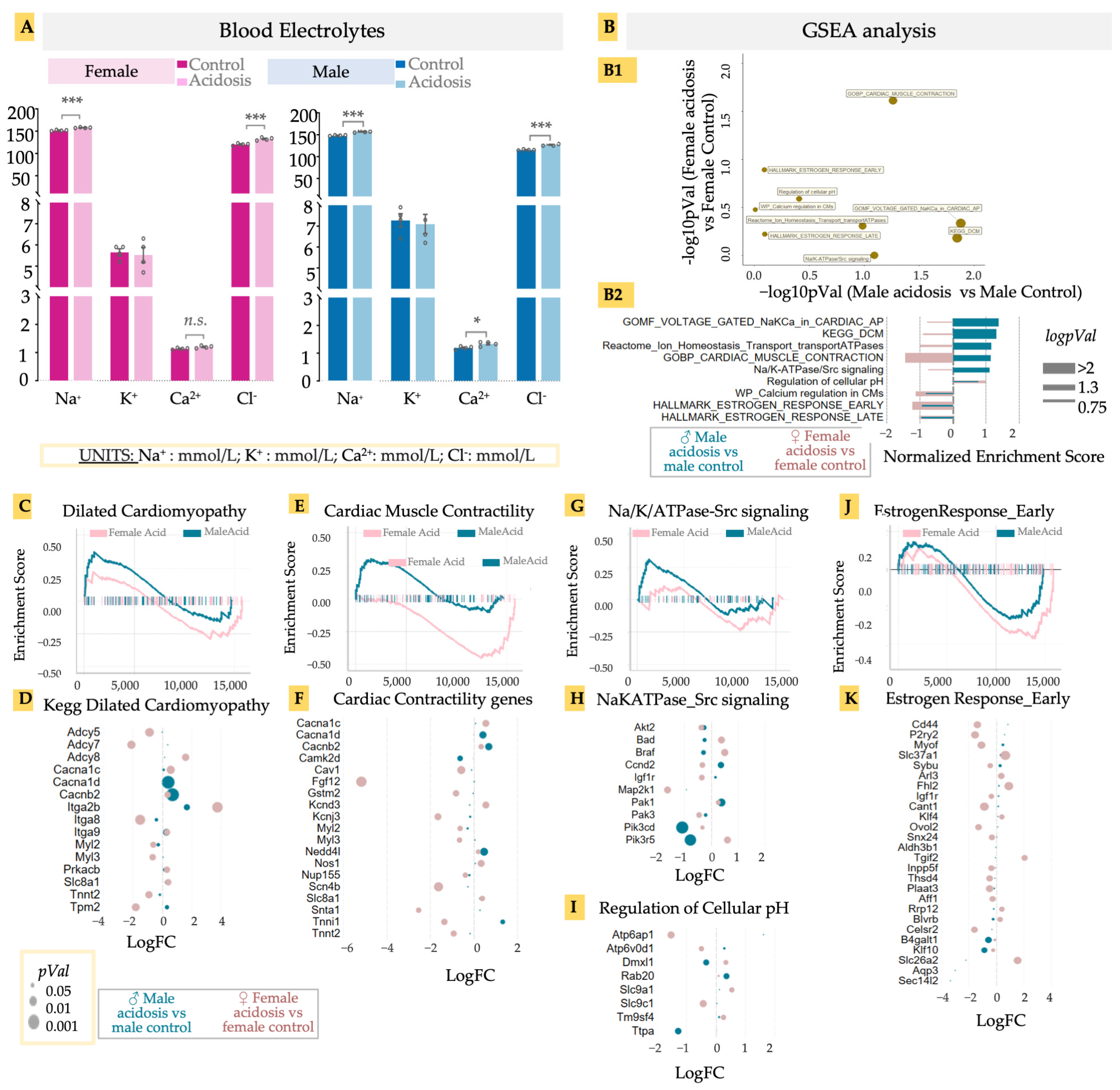 Metabolites 13 00549 g004