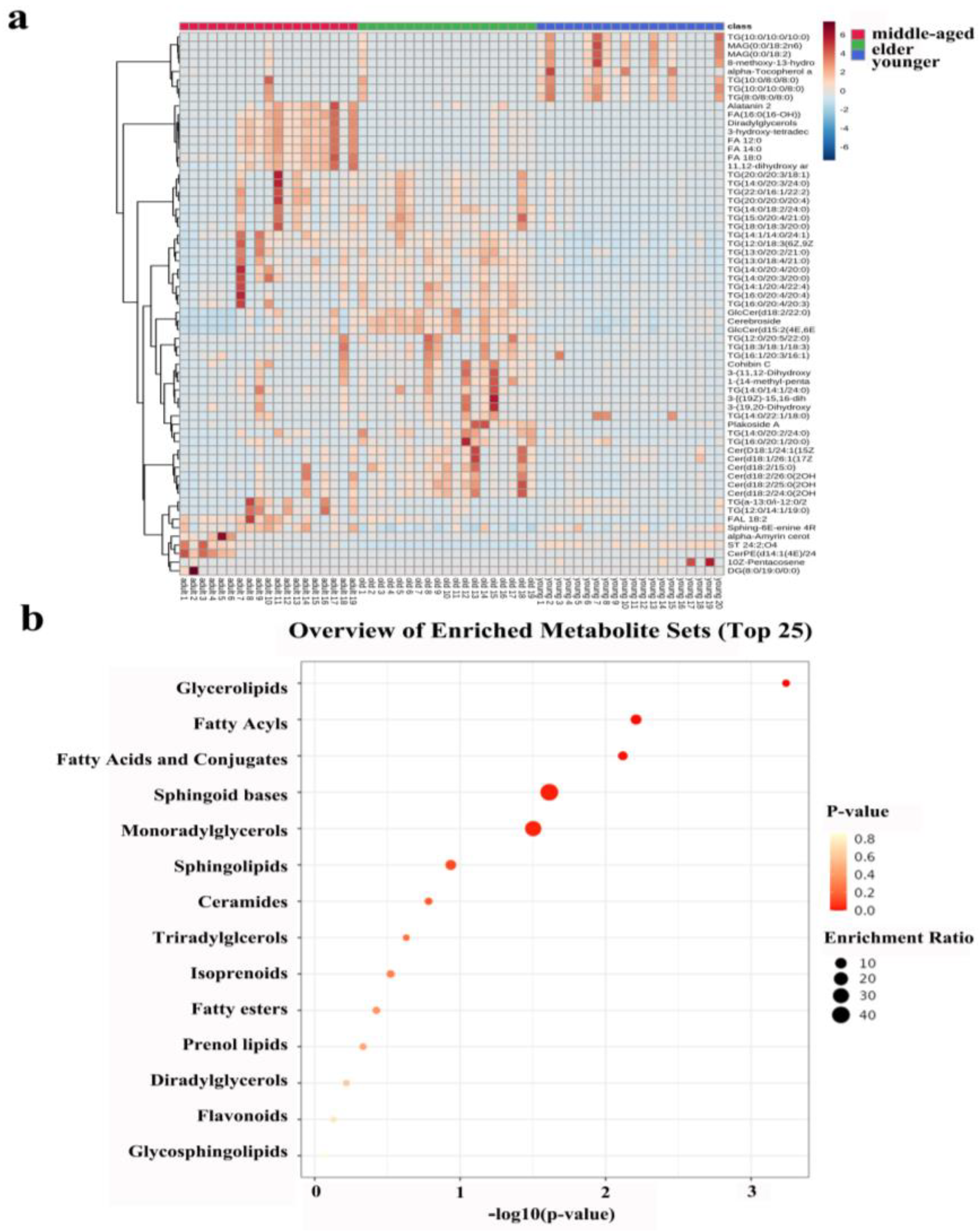 Metabolites 13 00553 g004