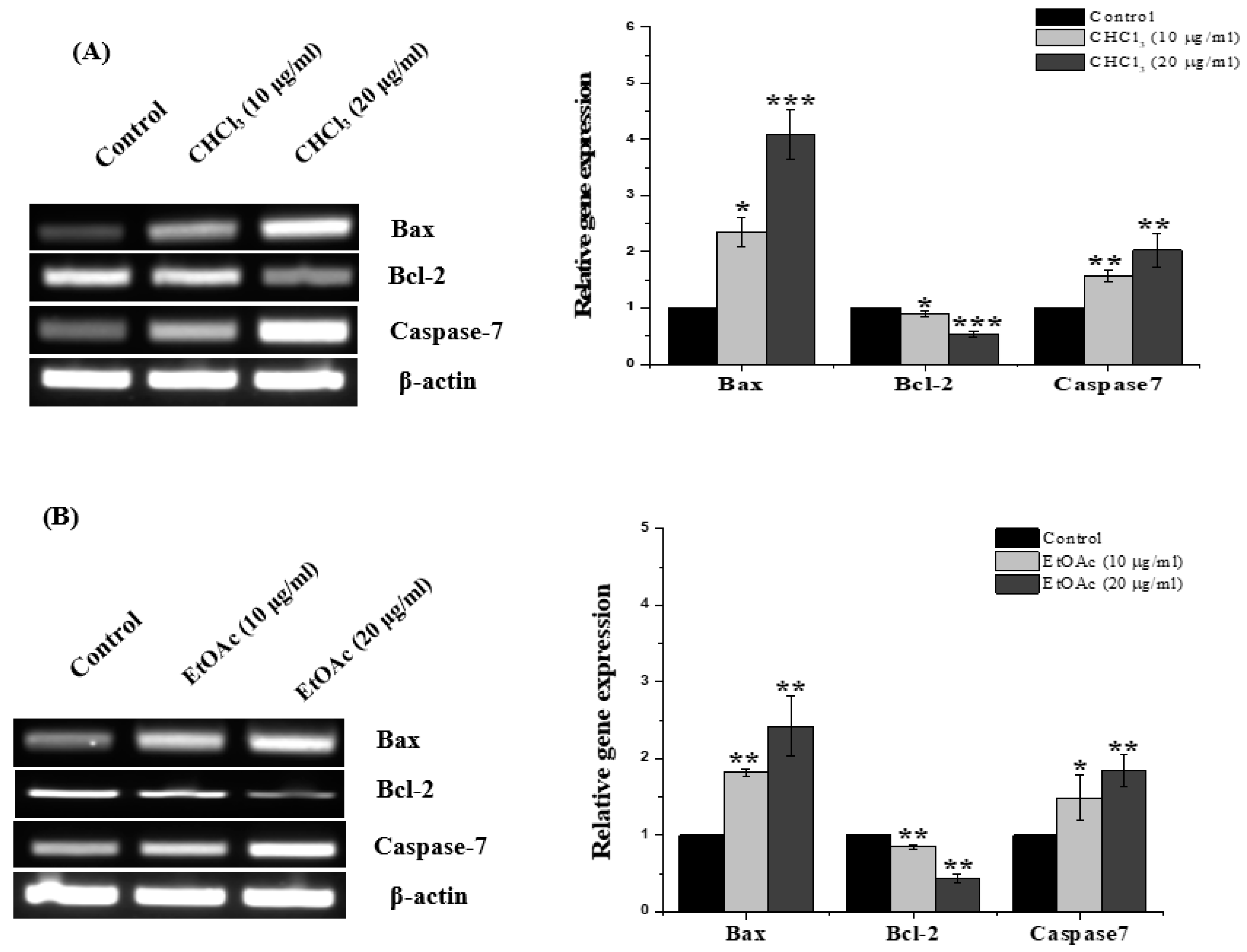 Metabolites 13 00556 g007