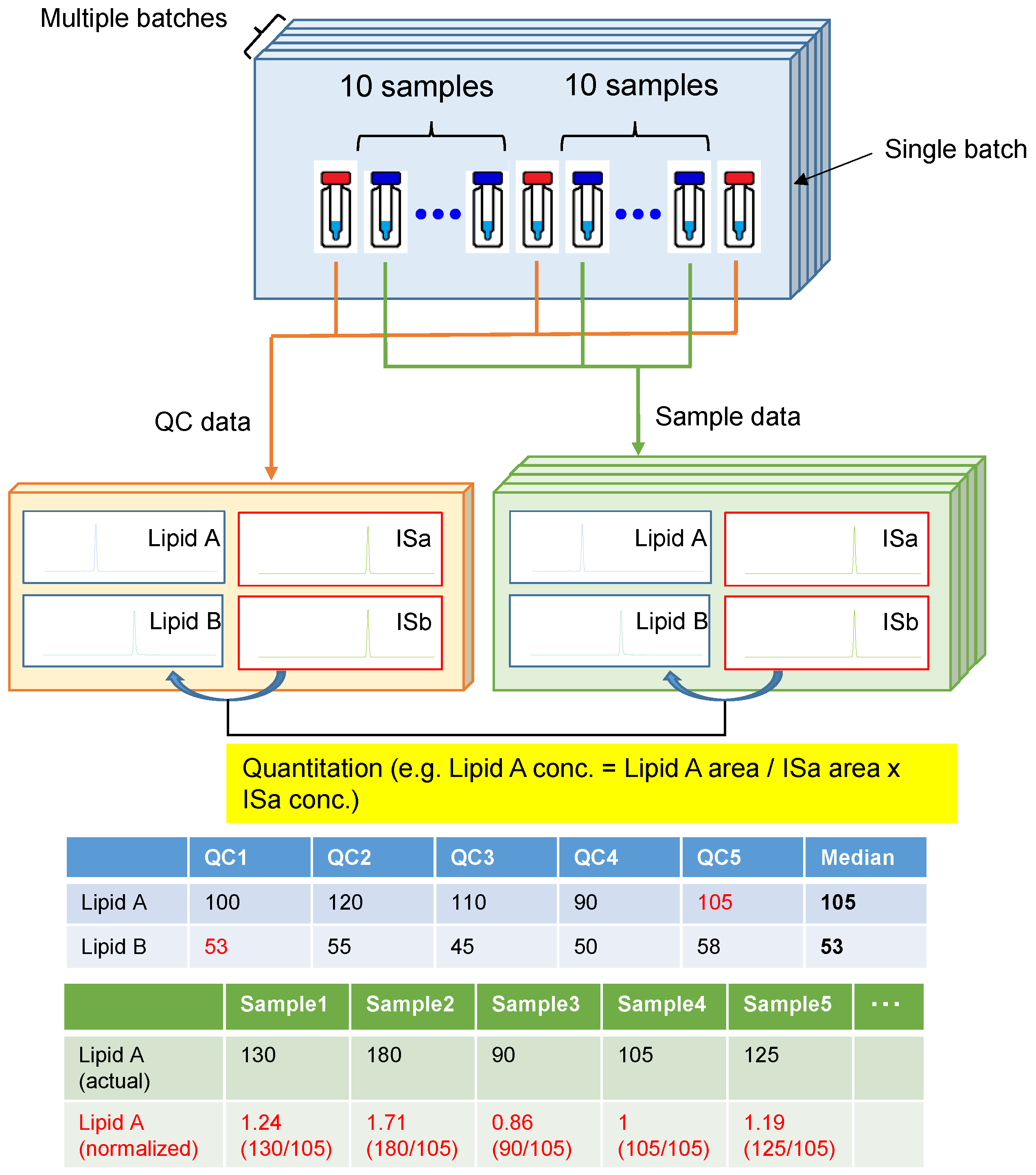 Metabolites 13 00558 g002
