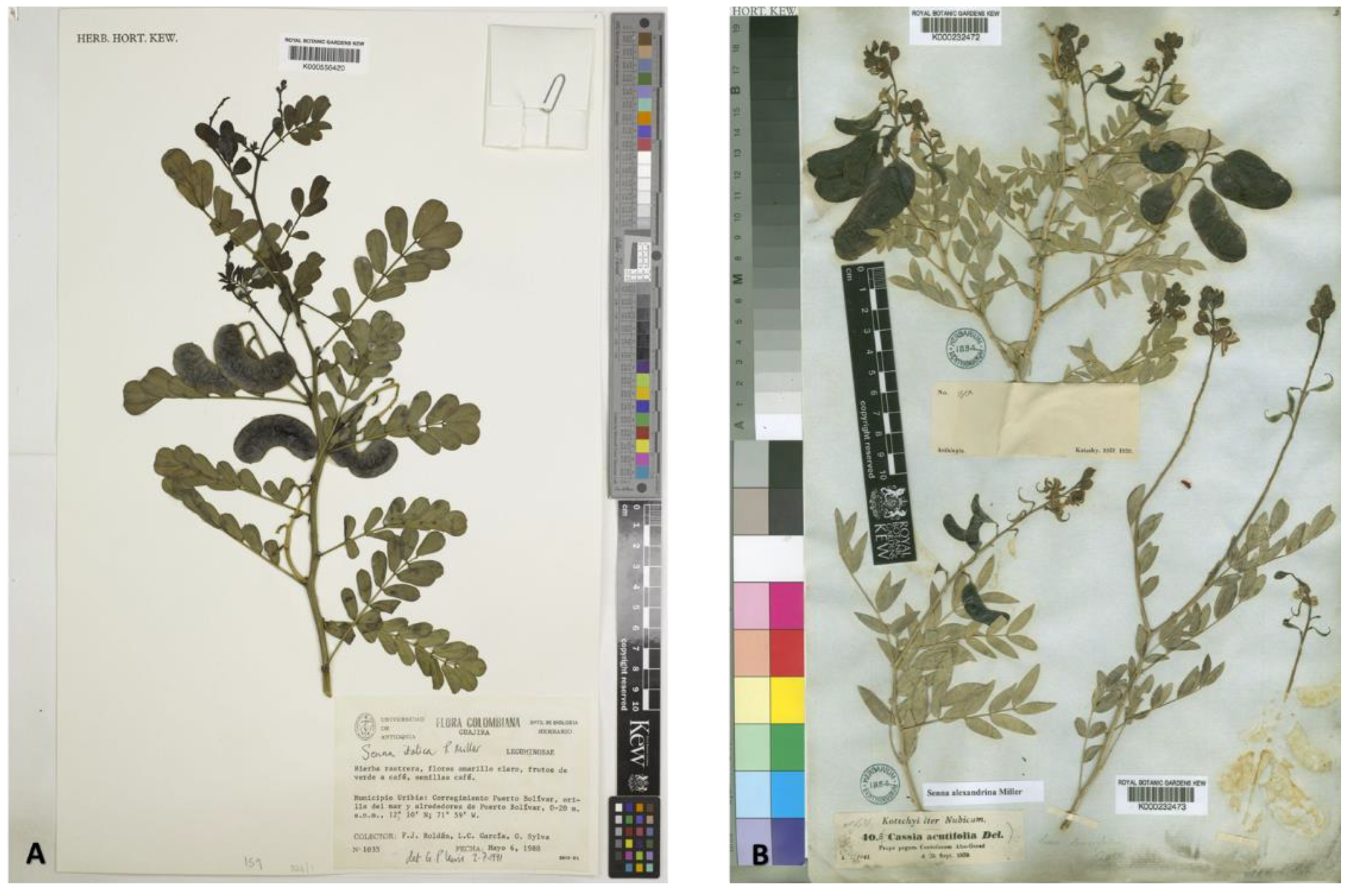 Metabolites 13 00559 g001