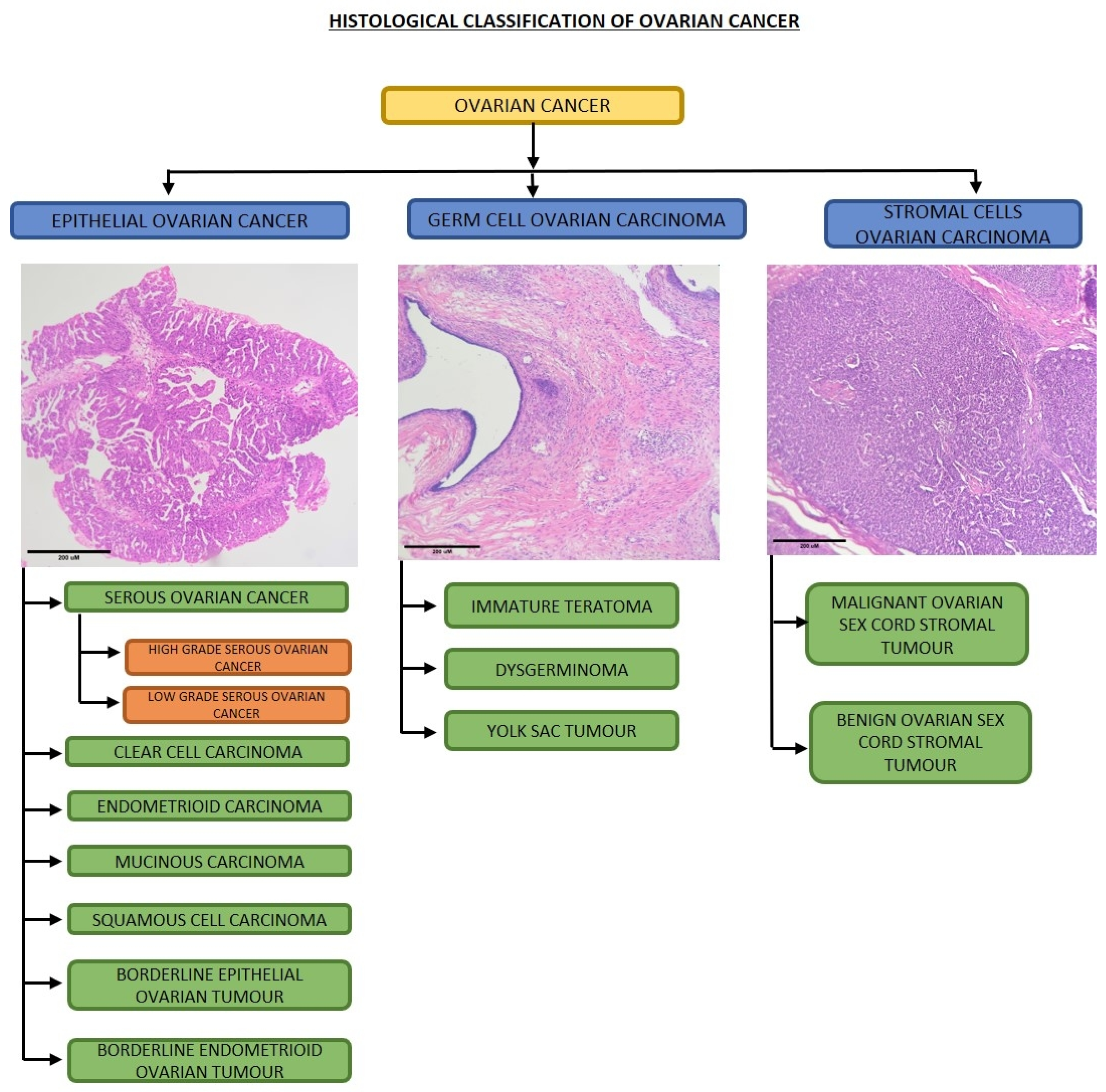 Metabolites 13 00560 g001