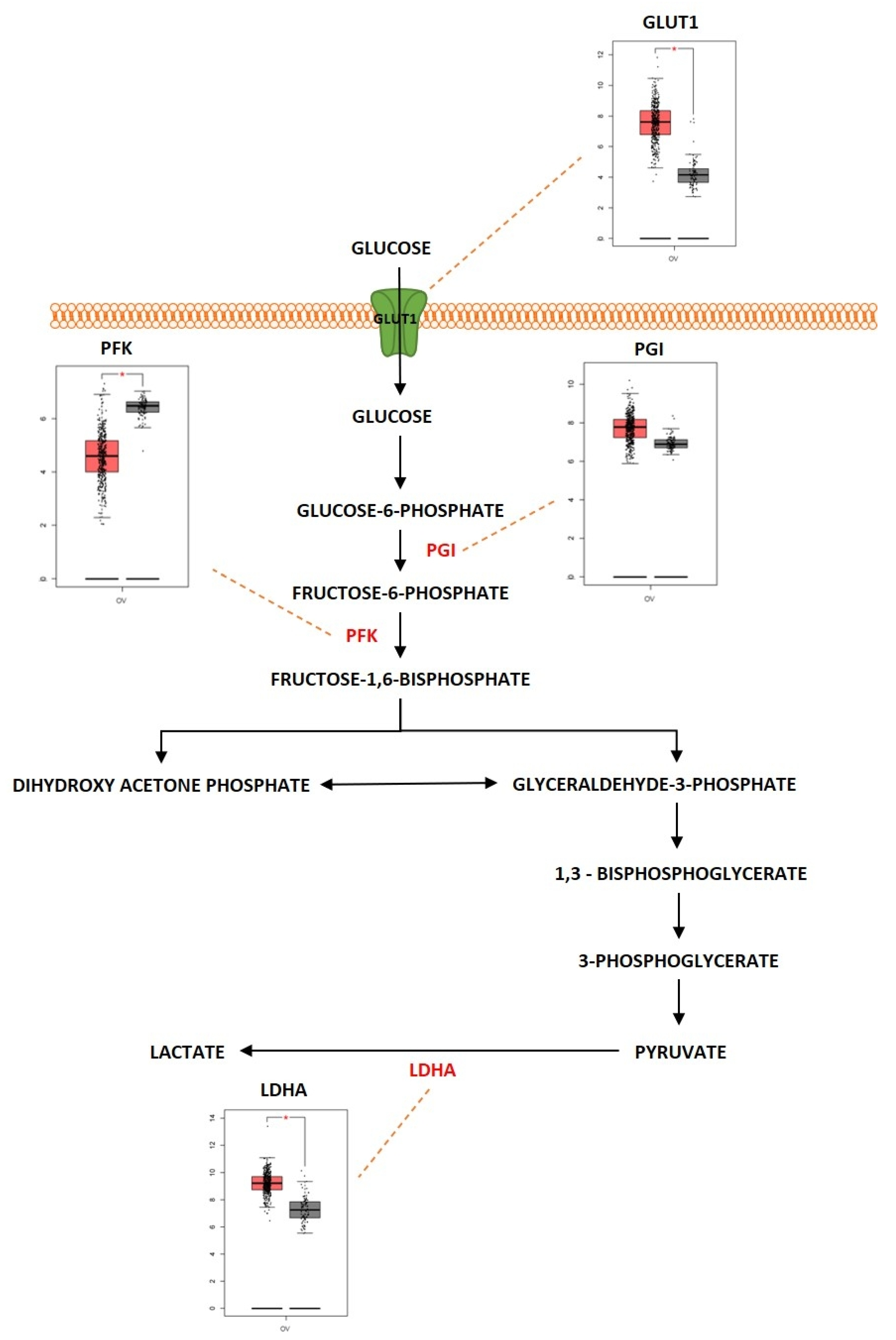 Metabolites 13 00560 g003
