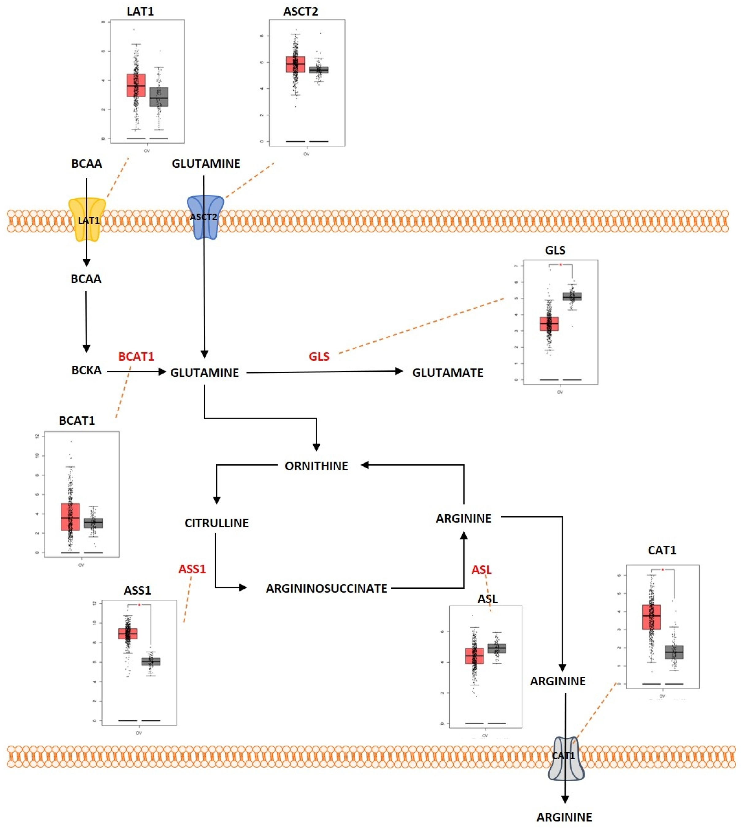 Metabolites 13 00560 g005