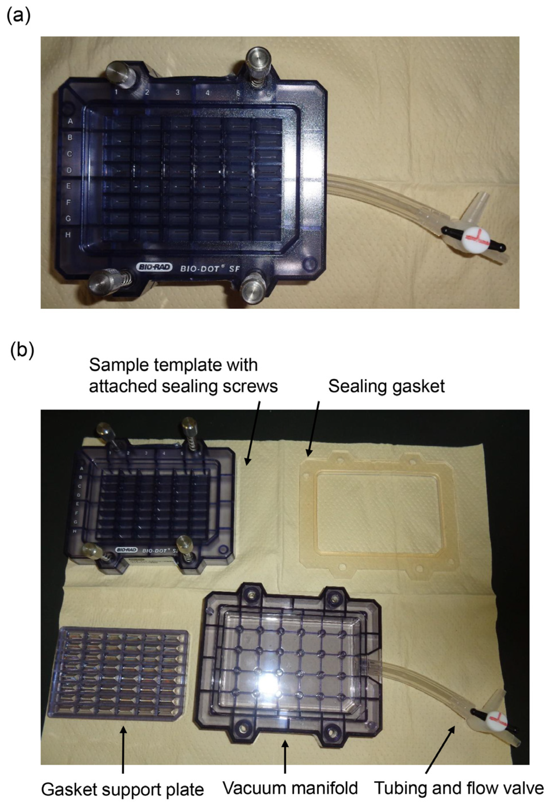 Metabolites 13 00564 g001