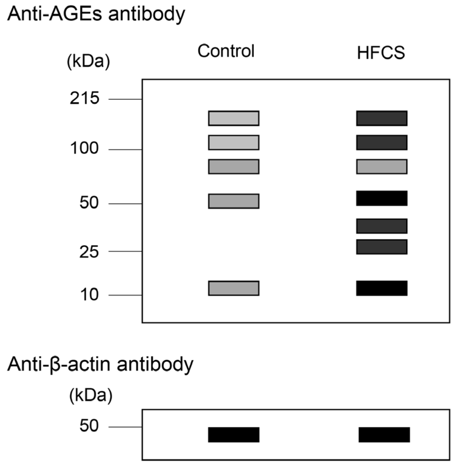 Metabolites 13 00564 g004