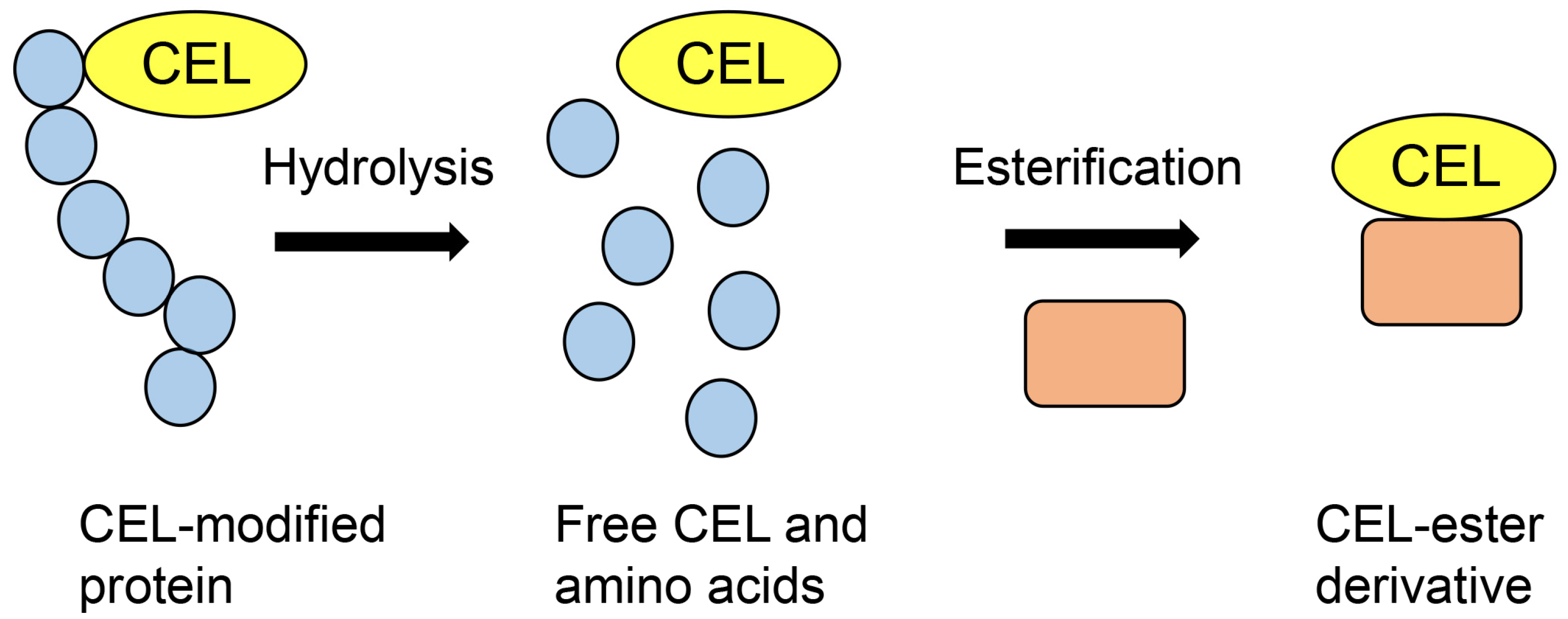 Metabolites 13 00564 g006