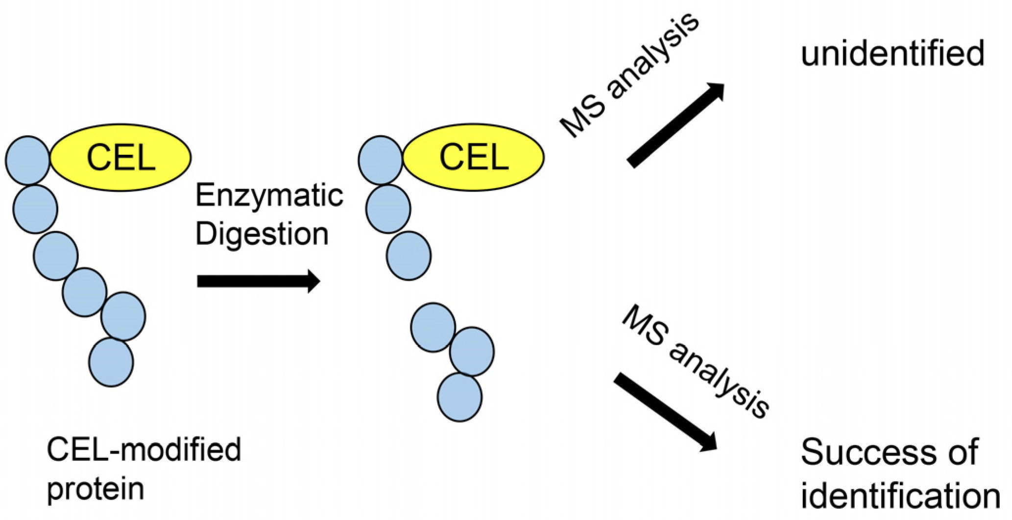 Metabolites 13 00564 g008