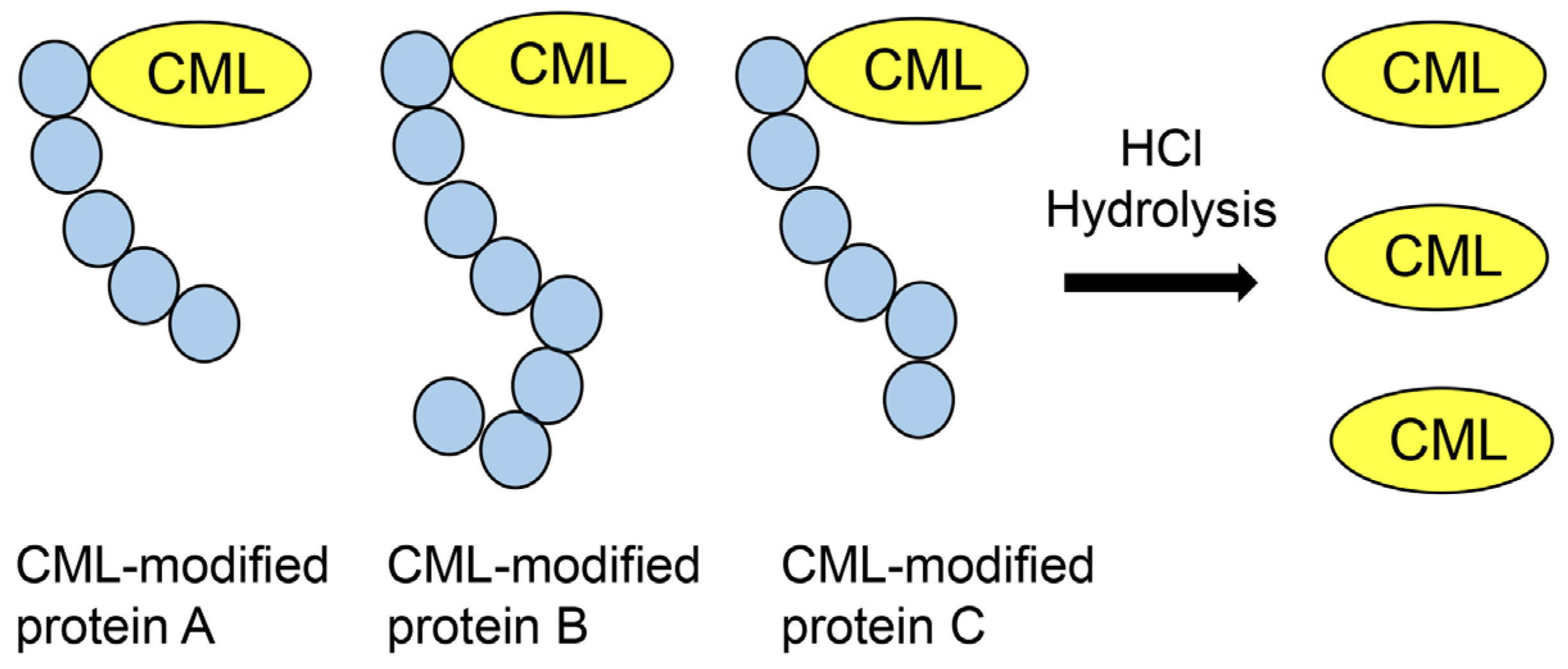 Metabolites 13 00564 g009