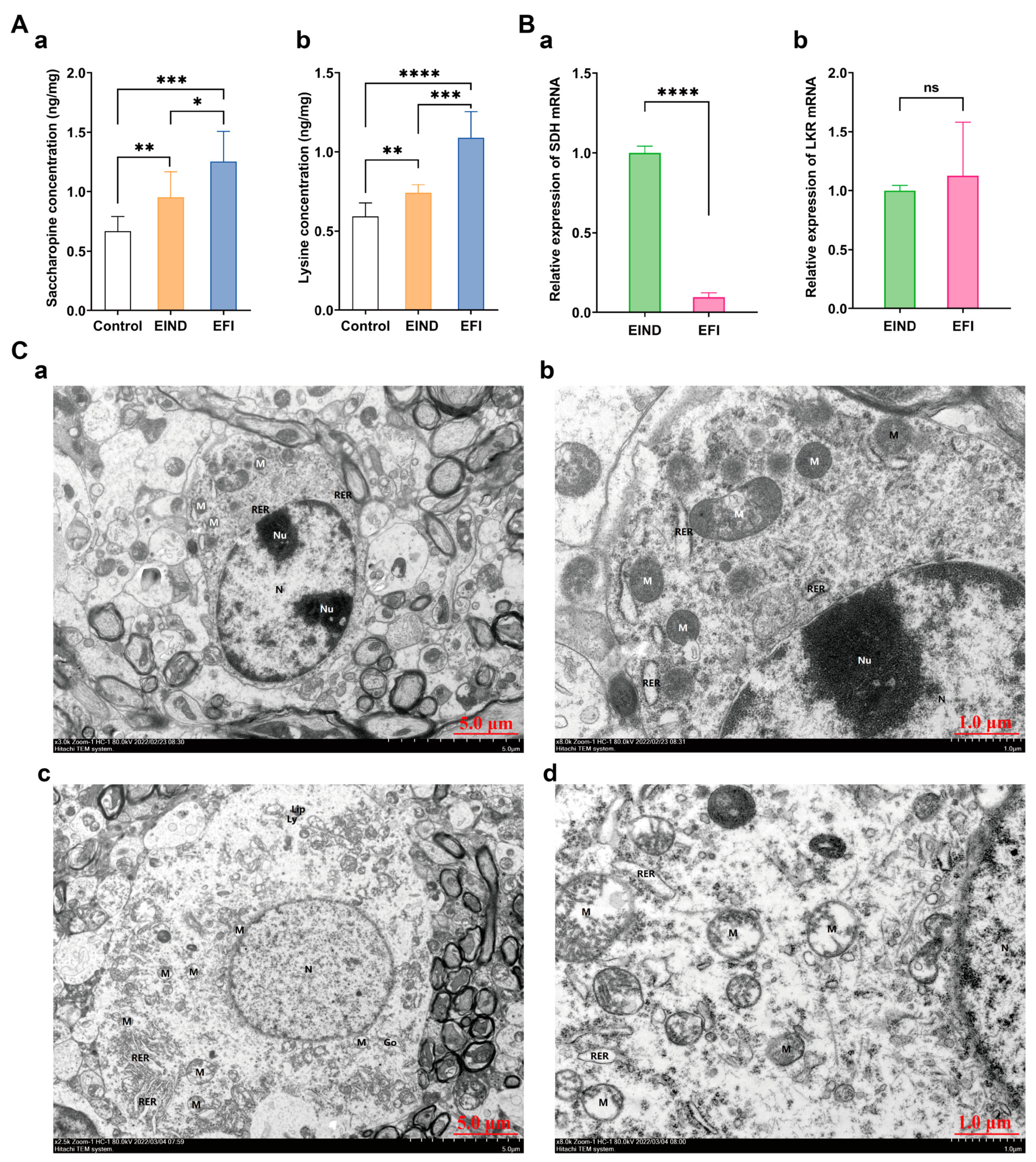 Metabolites 13 00567 g009
