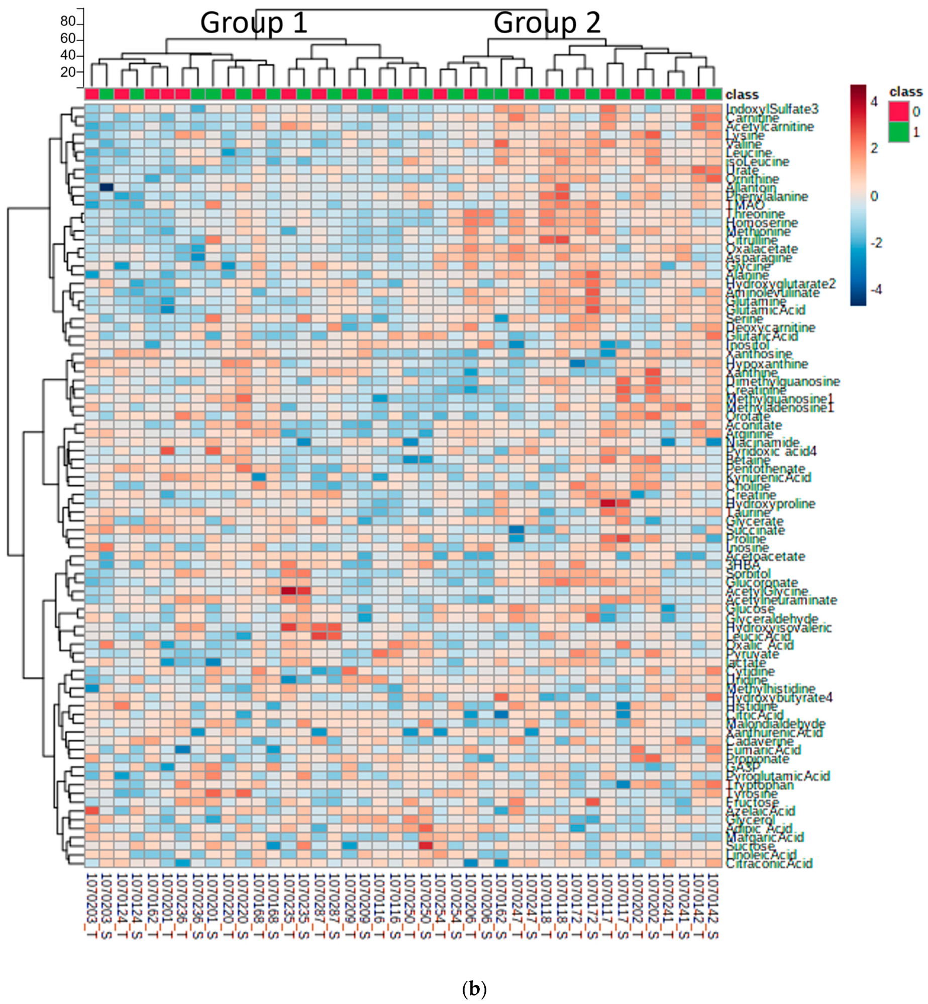 Metabolites 13 00569 g002b