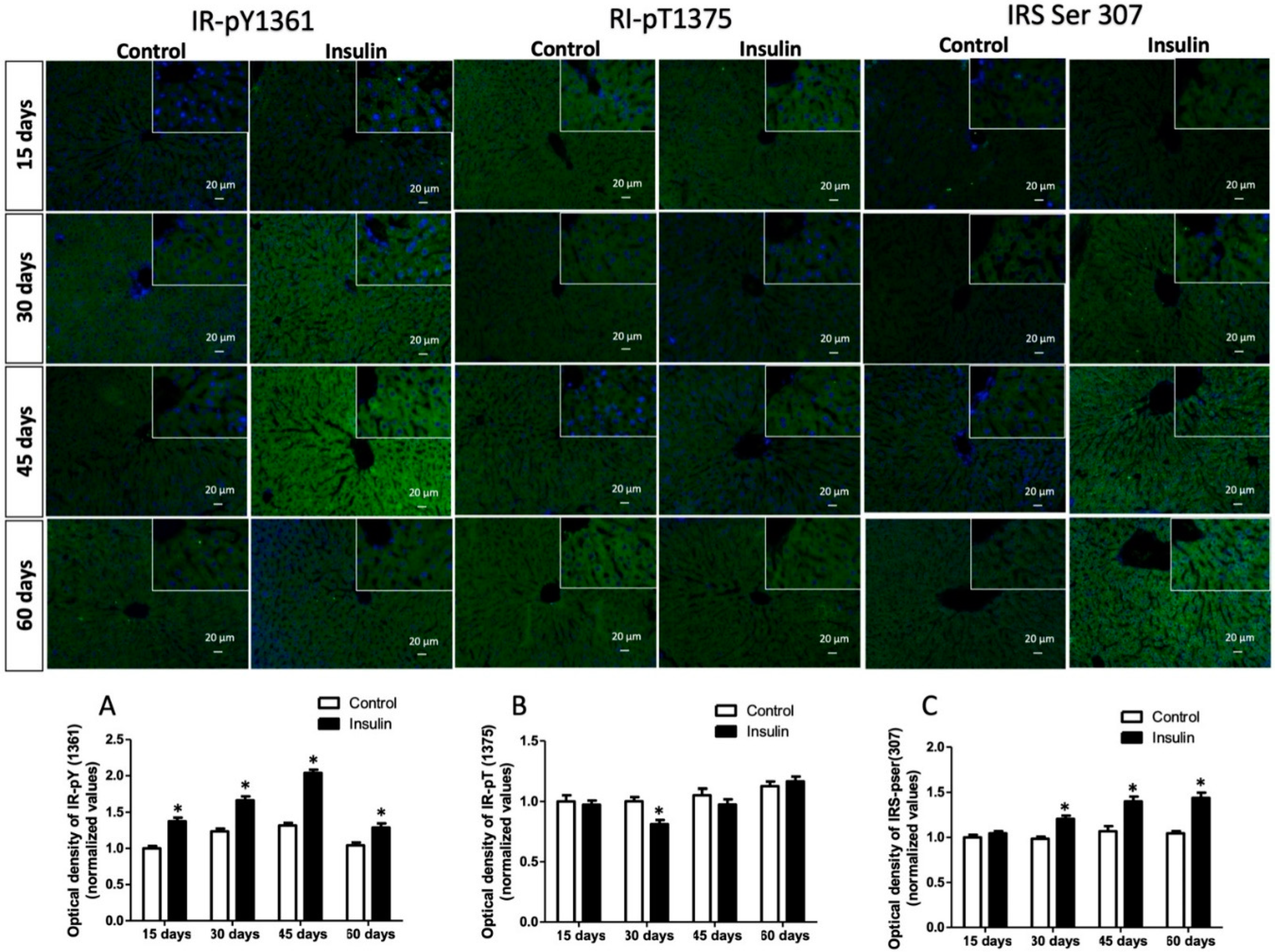 Metabolites 13 00572 g002