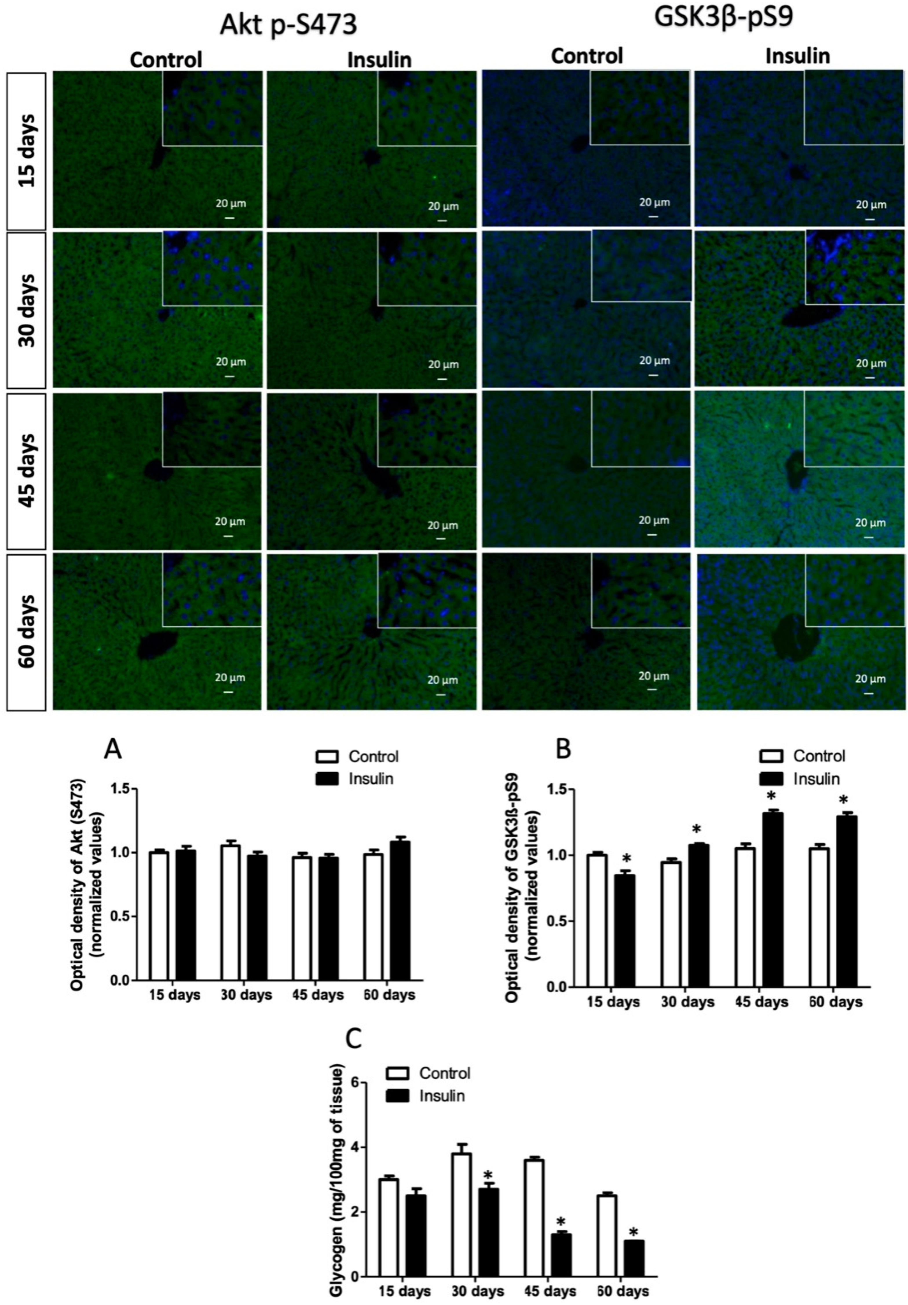 Metabolites 13 00572 g003