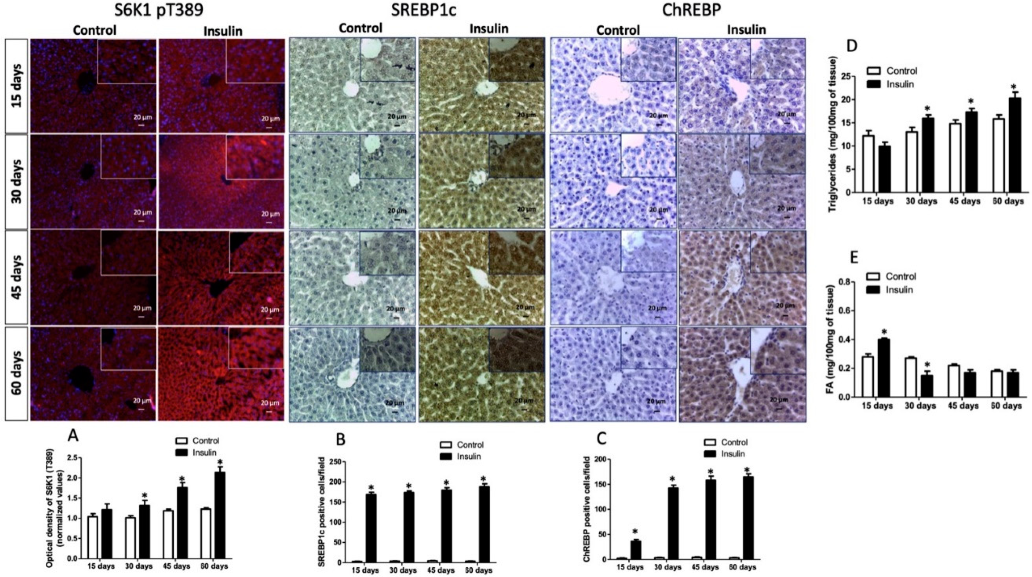 Metabolites 13 00572 g004